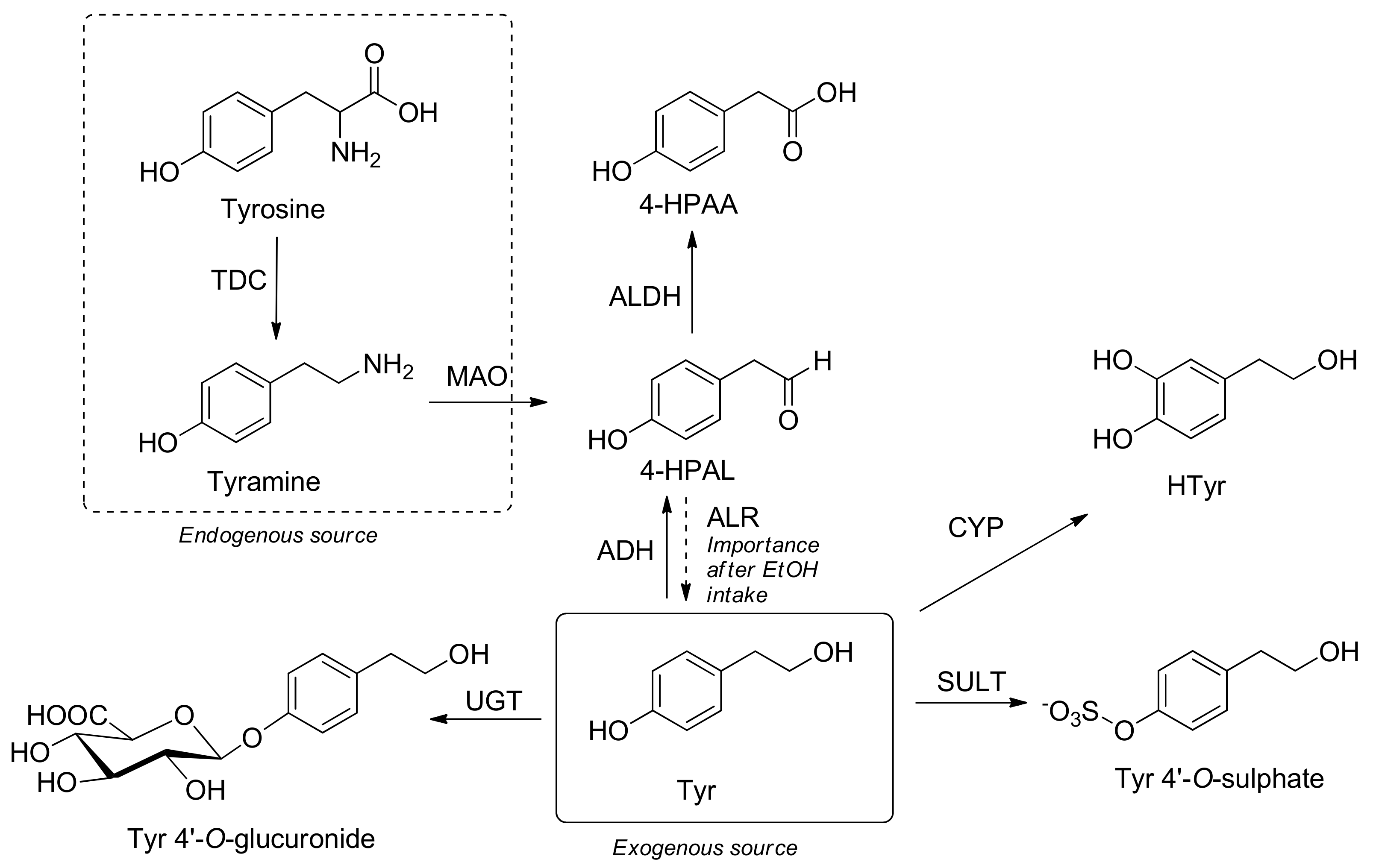 Molecules 24 02001 sch004