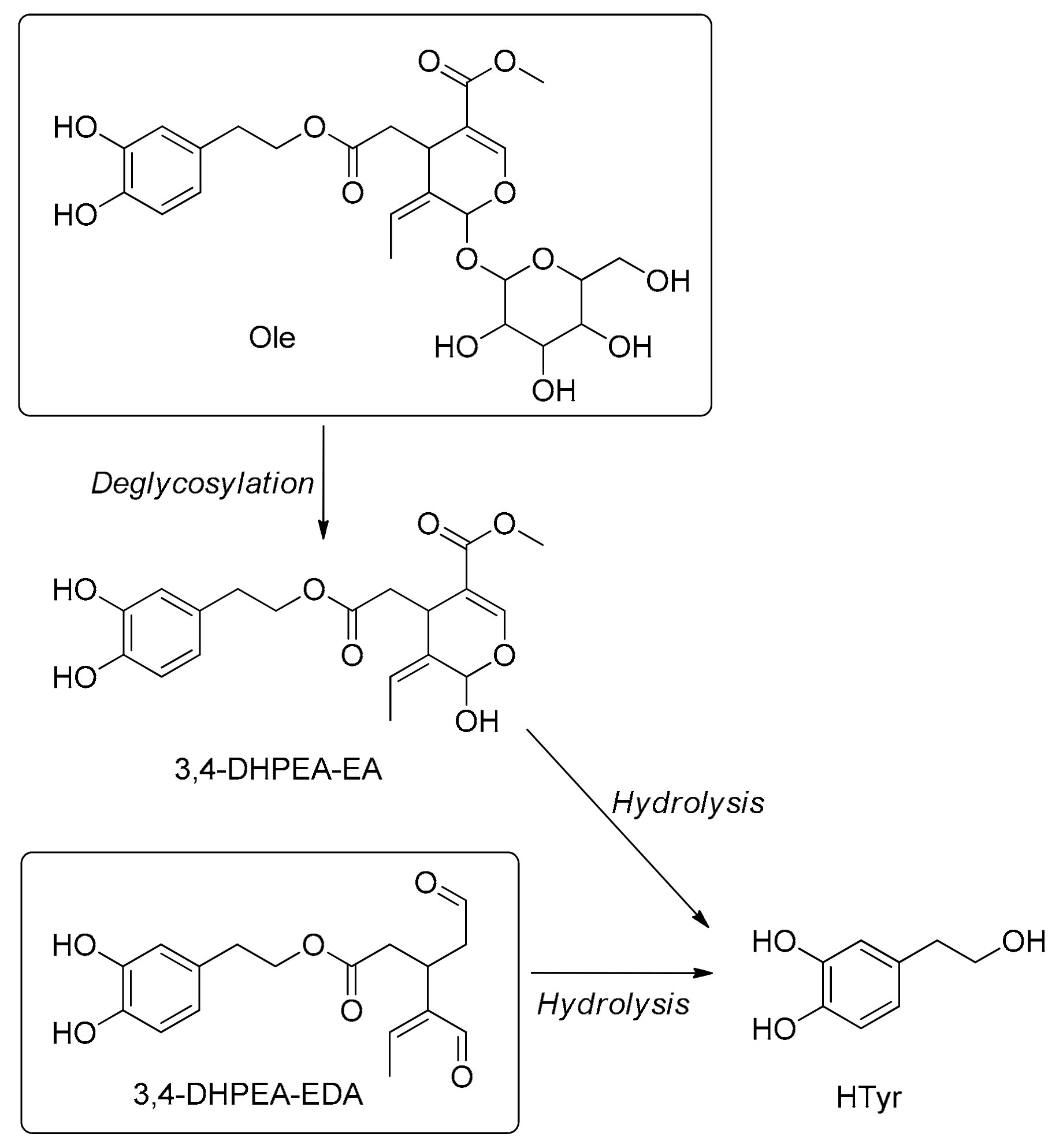Molecules 24 02001 sch005