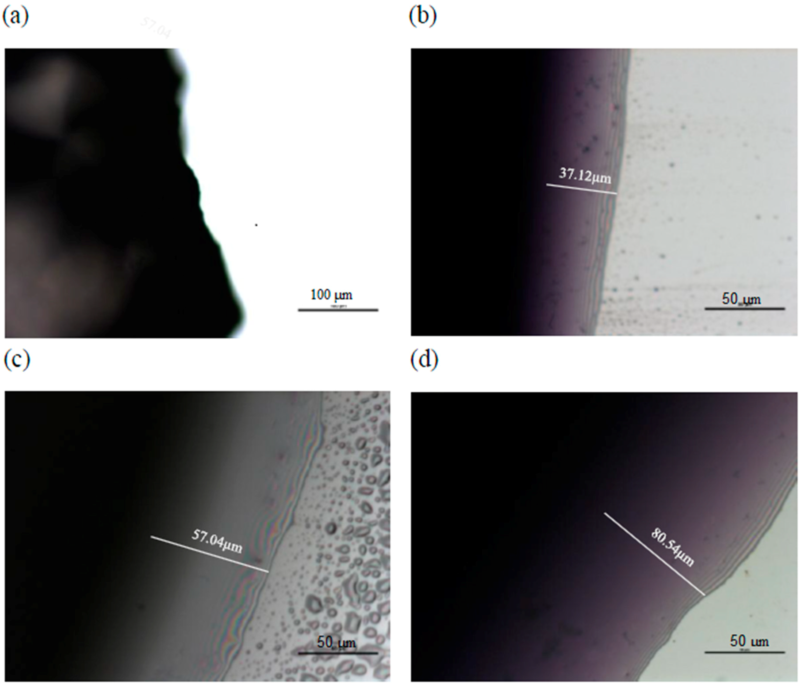 Molecules 24 02008 g001