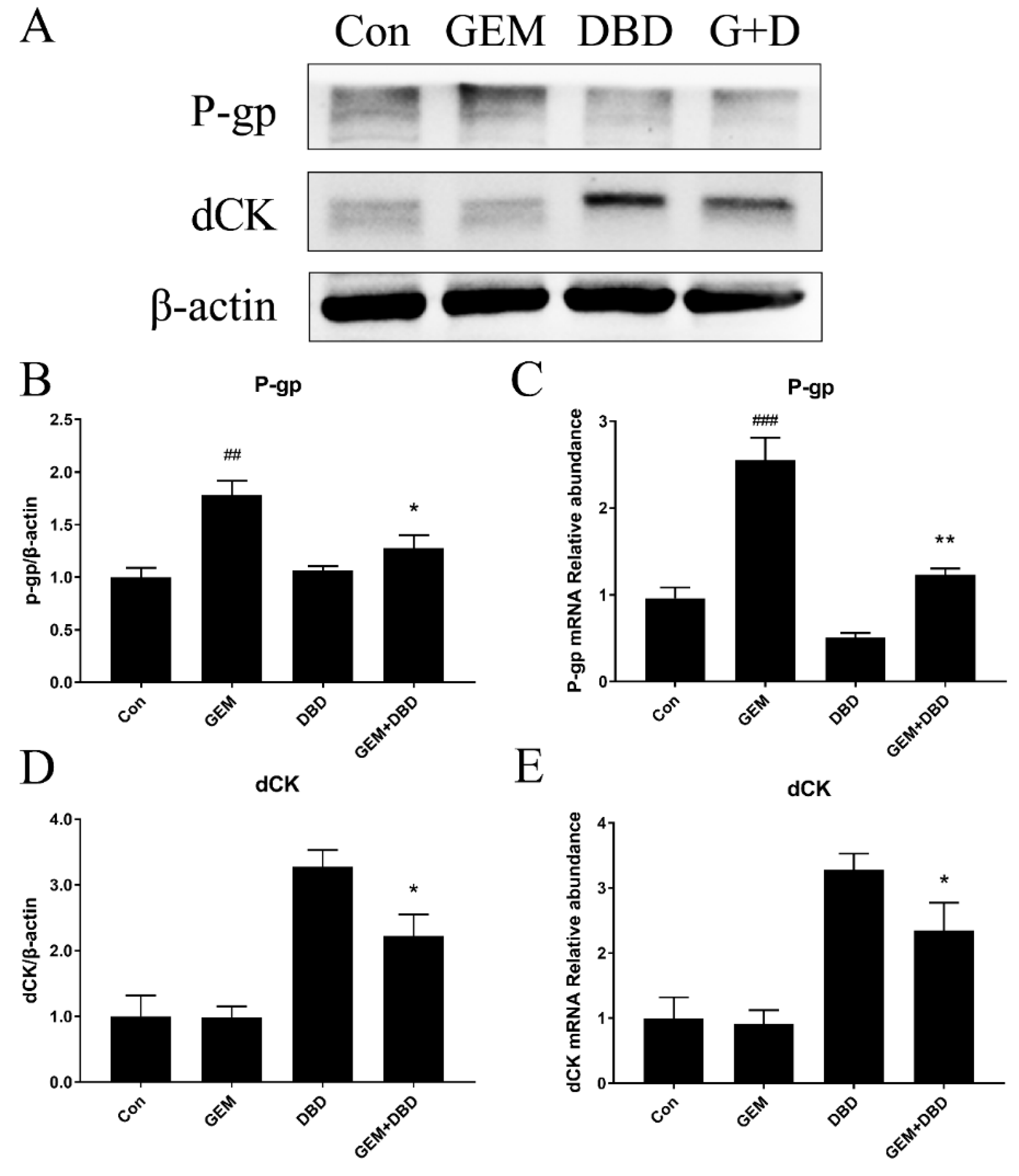 Molecules 24 02011 g004