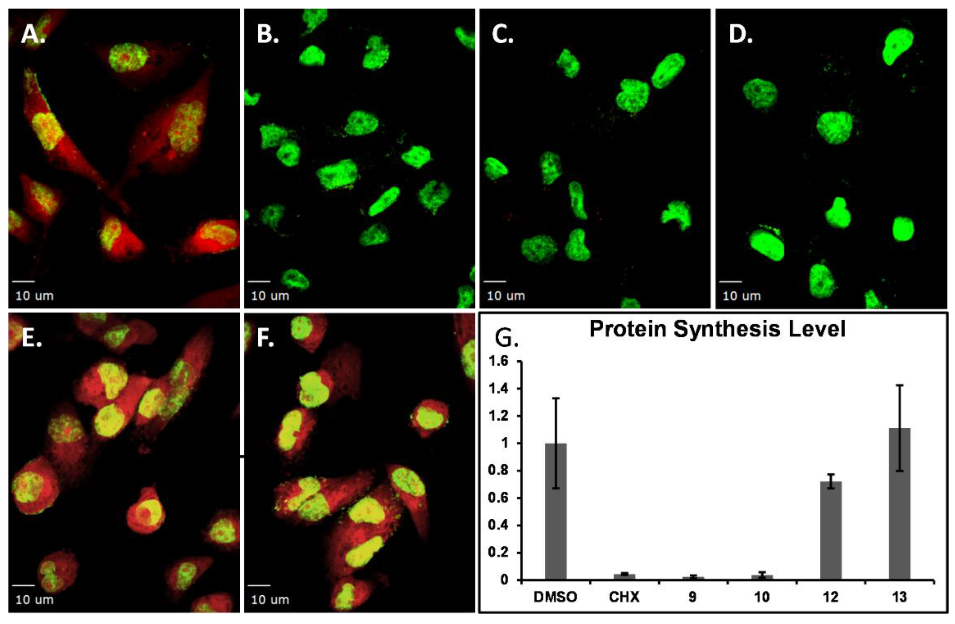 Molecules 24 02012 g006