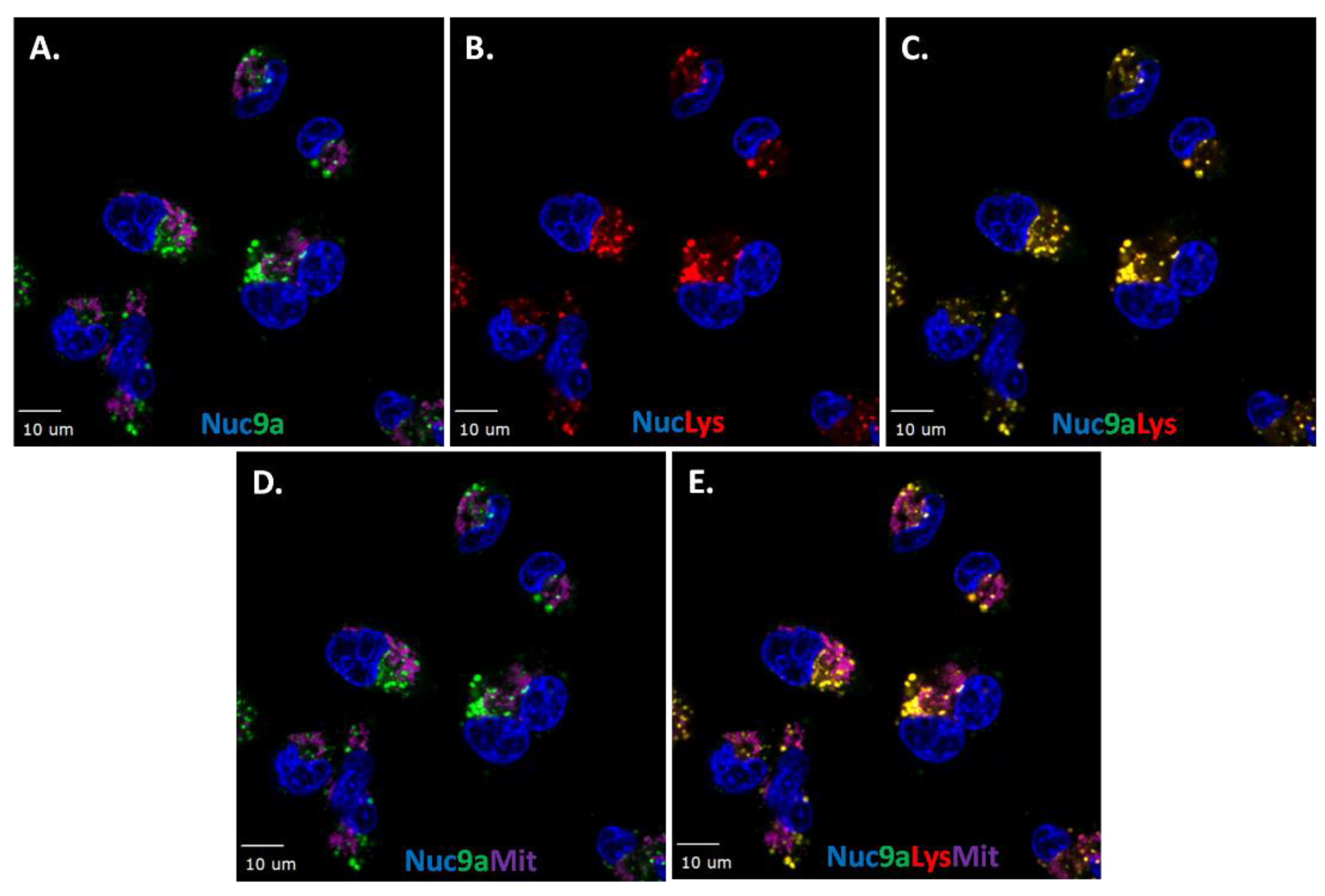 Molecules 24 02012 g007
