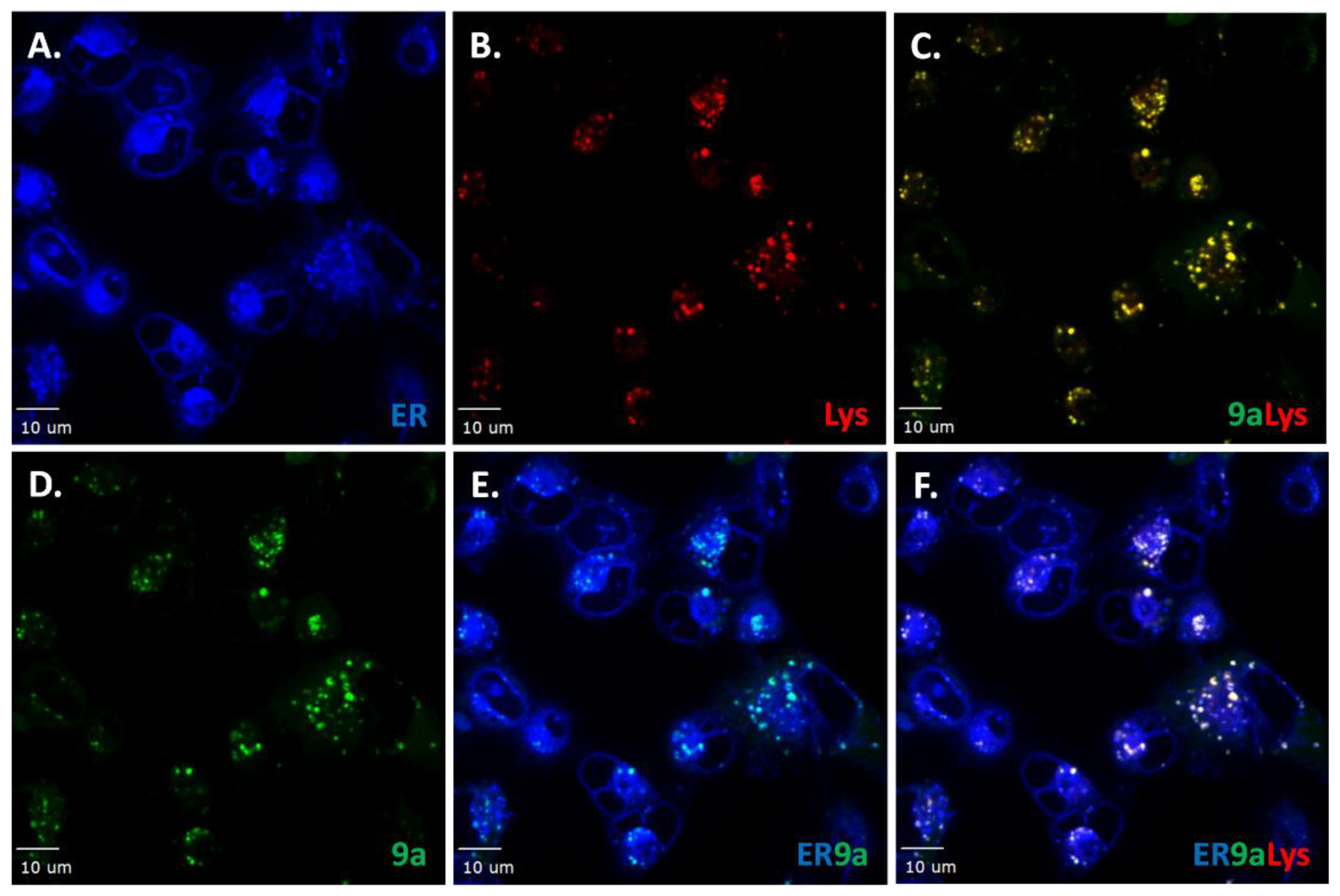 Molecules 24 02012 g008