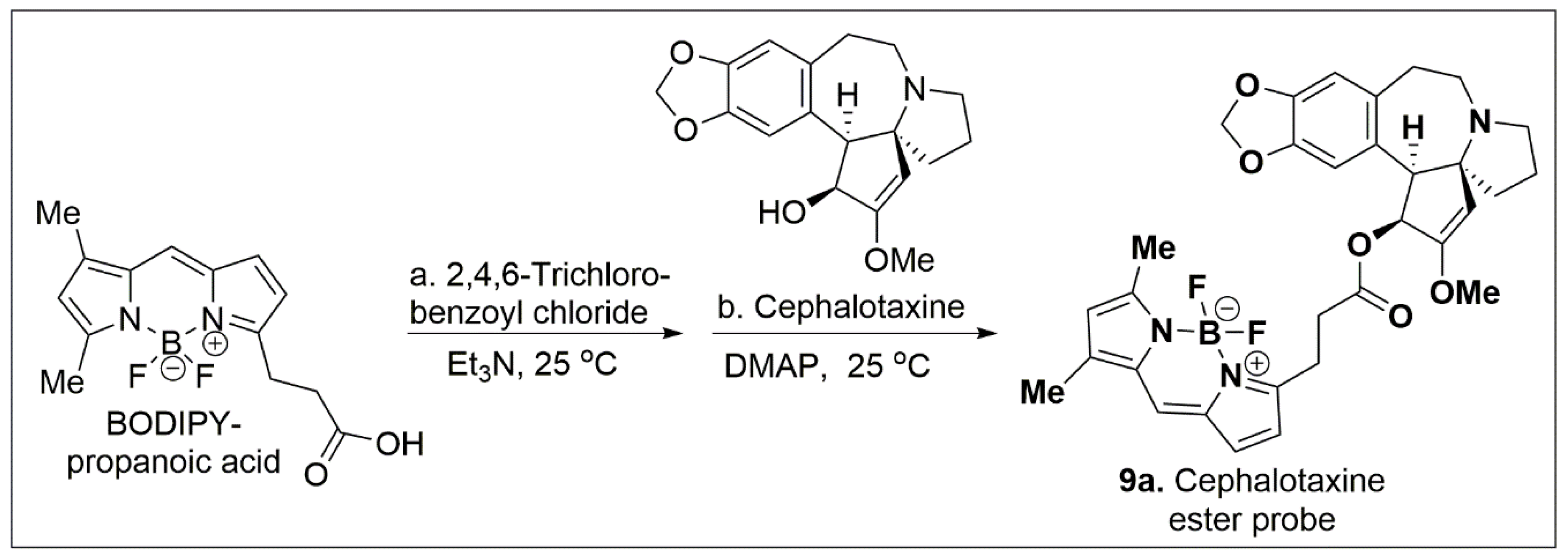 Molecules 24 02012 sch001