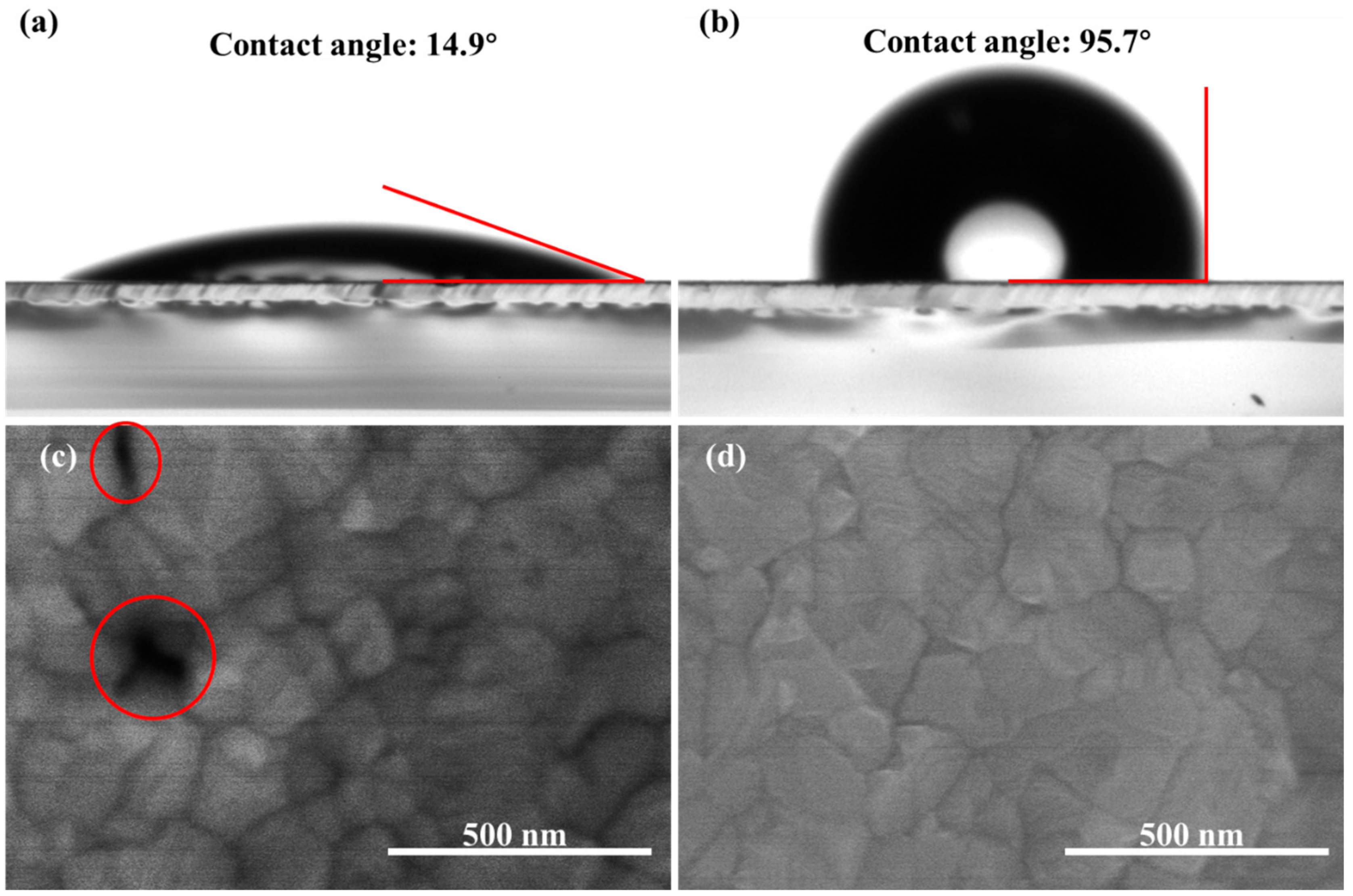 Molecules 24 02027 g001