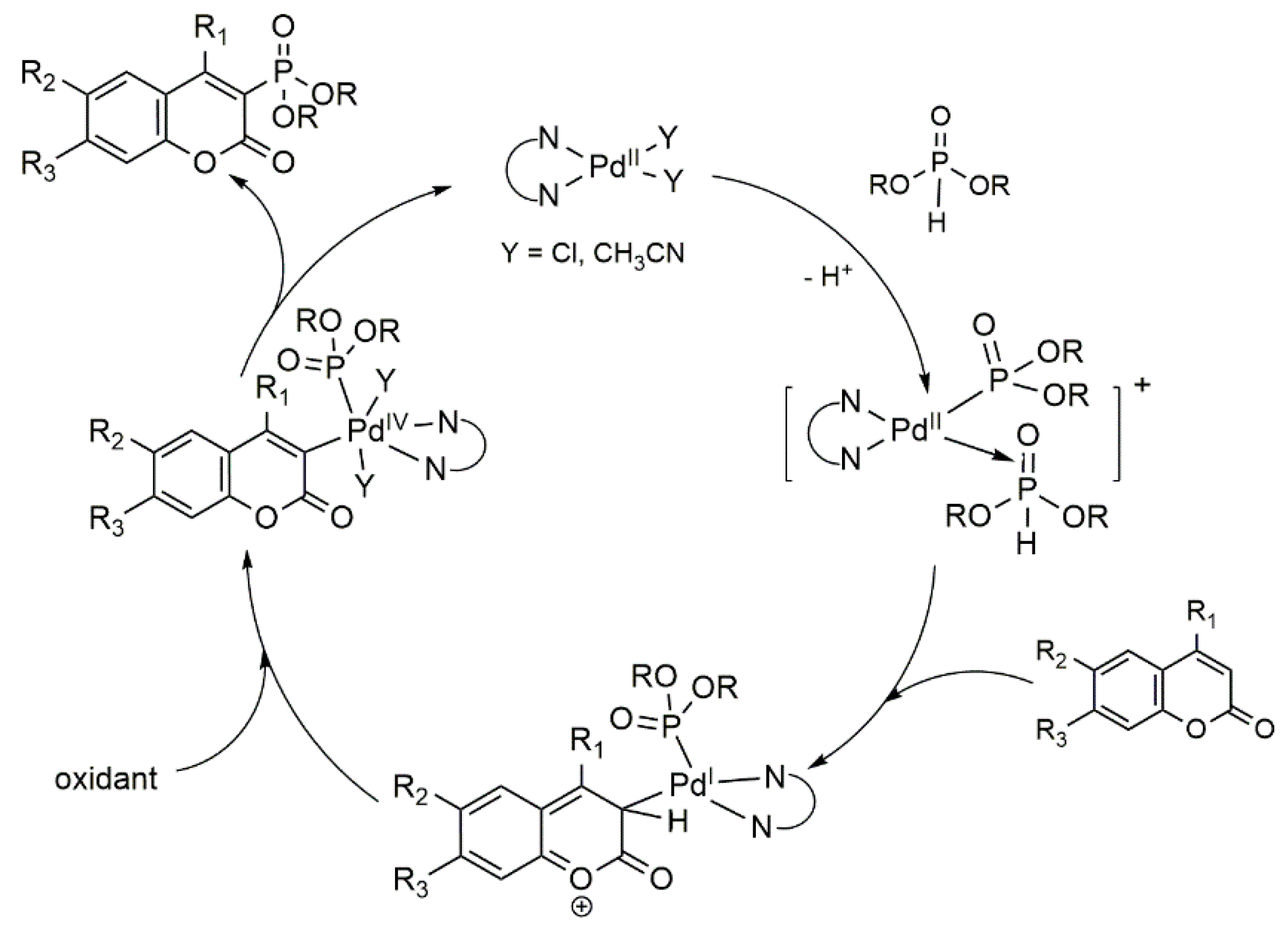 Molecules 24 02030 sch011 Molecules 24 02030 sch011