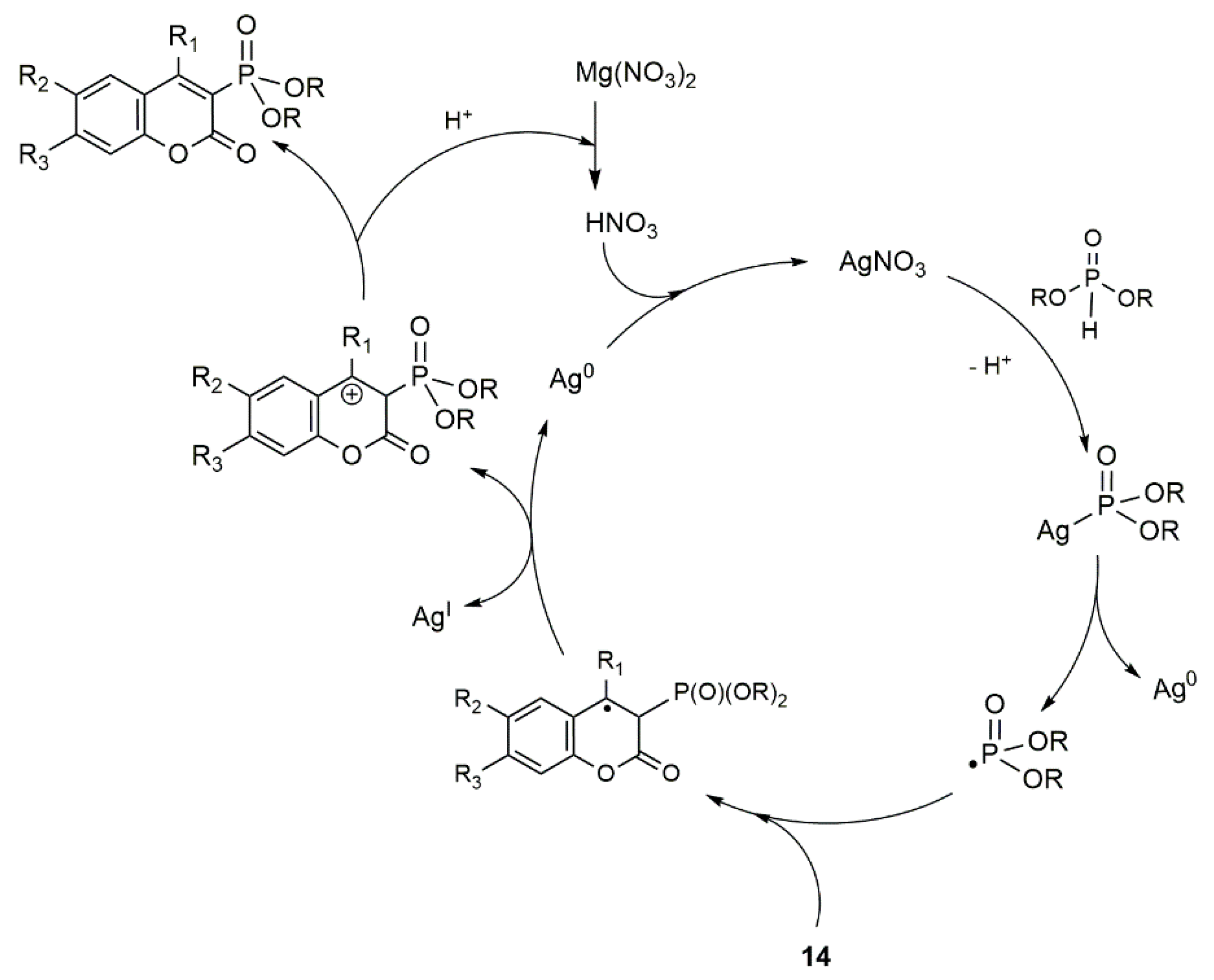 Molecules 24 02030 sch013 Molecules 24 02030 sch013