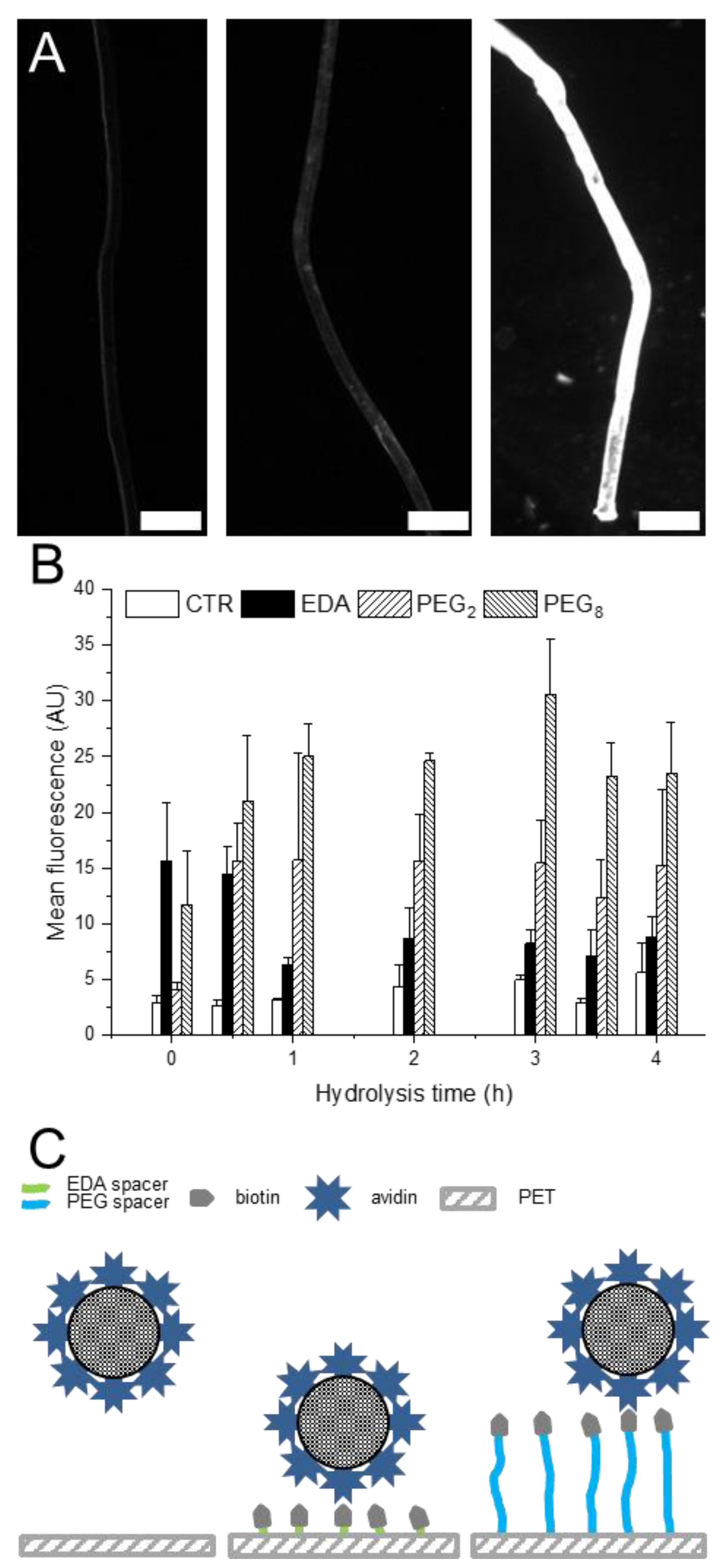 Molecules 24 02036 g003 Molecules 24 02036 g003