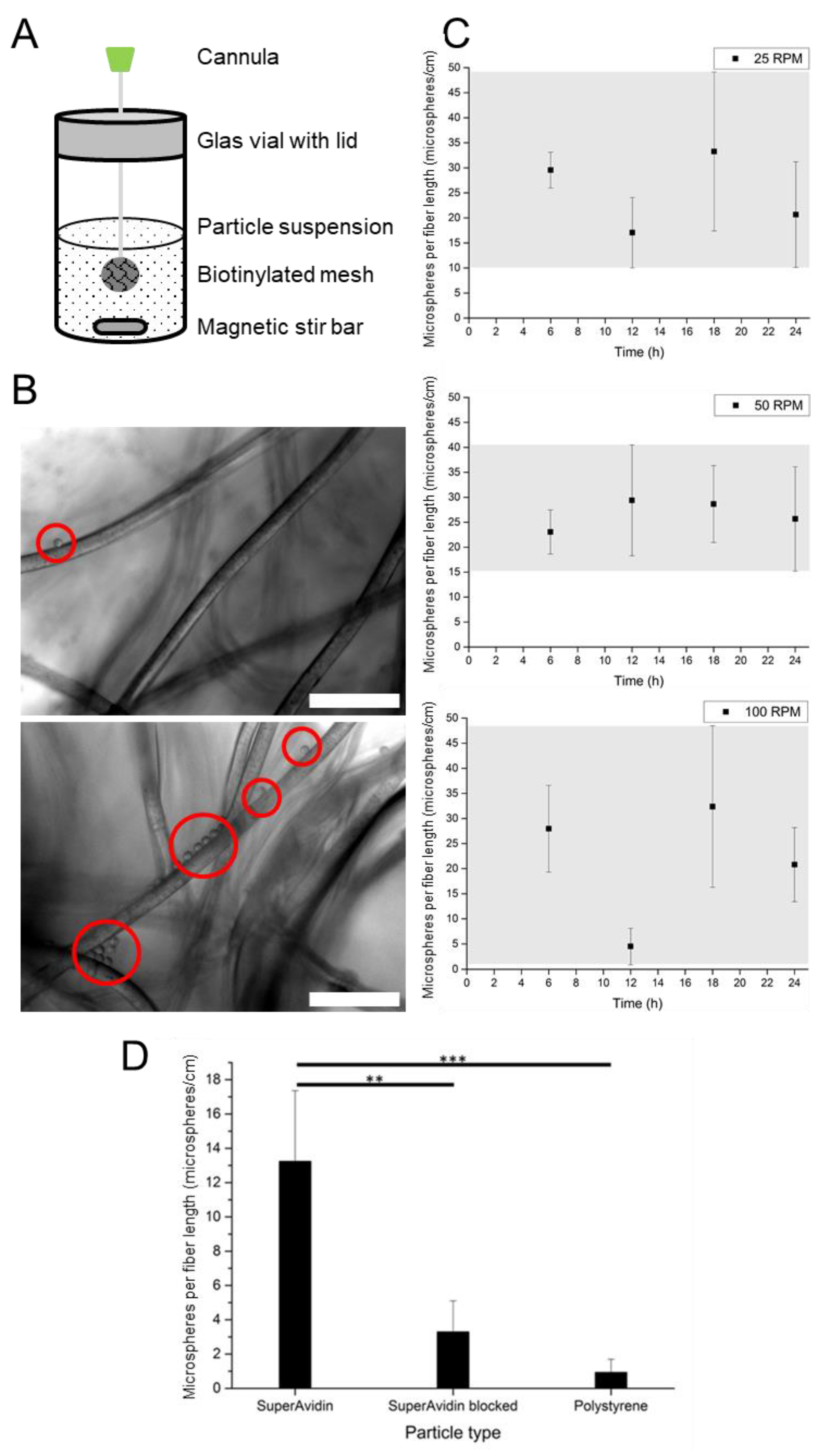 Molecules 24 02036 g004 Molecules 24 02036 g004