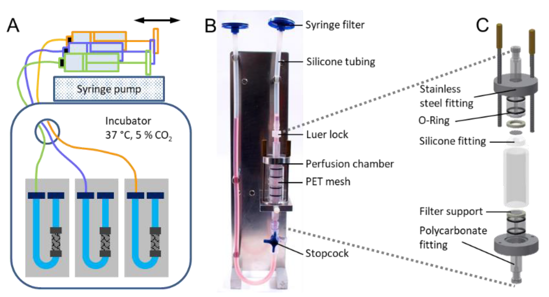 Molecules 24 02036 g005 Molecules 24 02036 g005