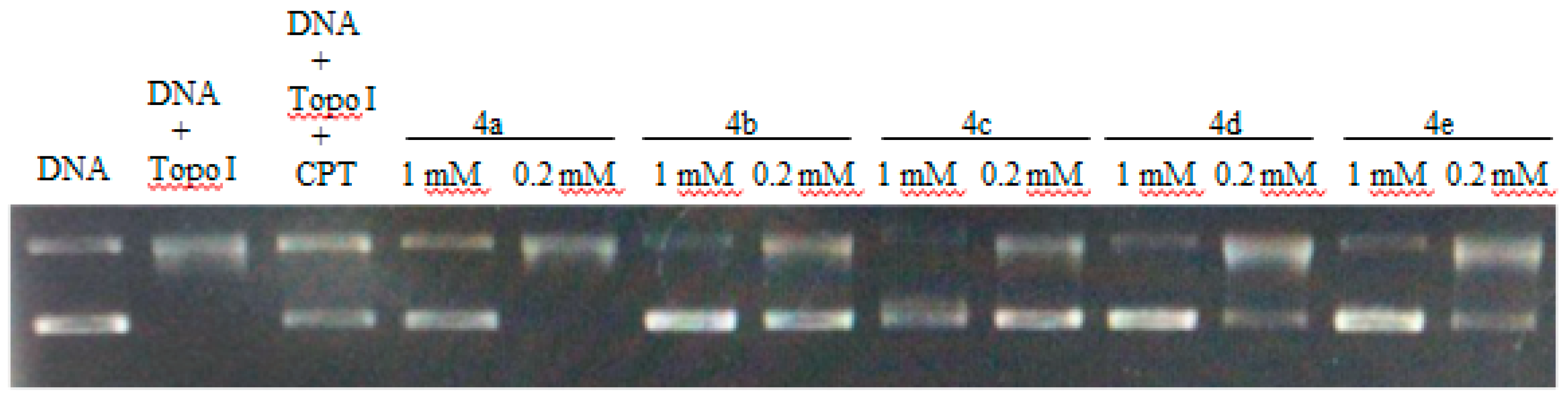 Molecules 24 02065 g002