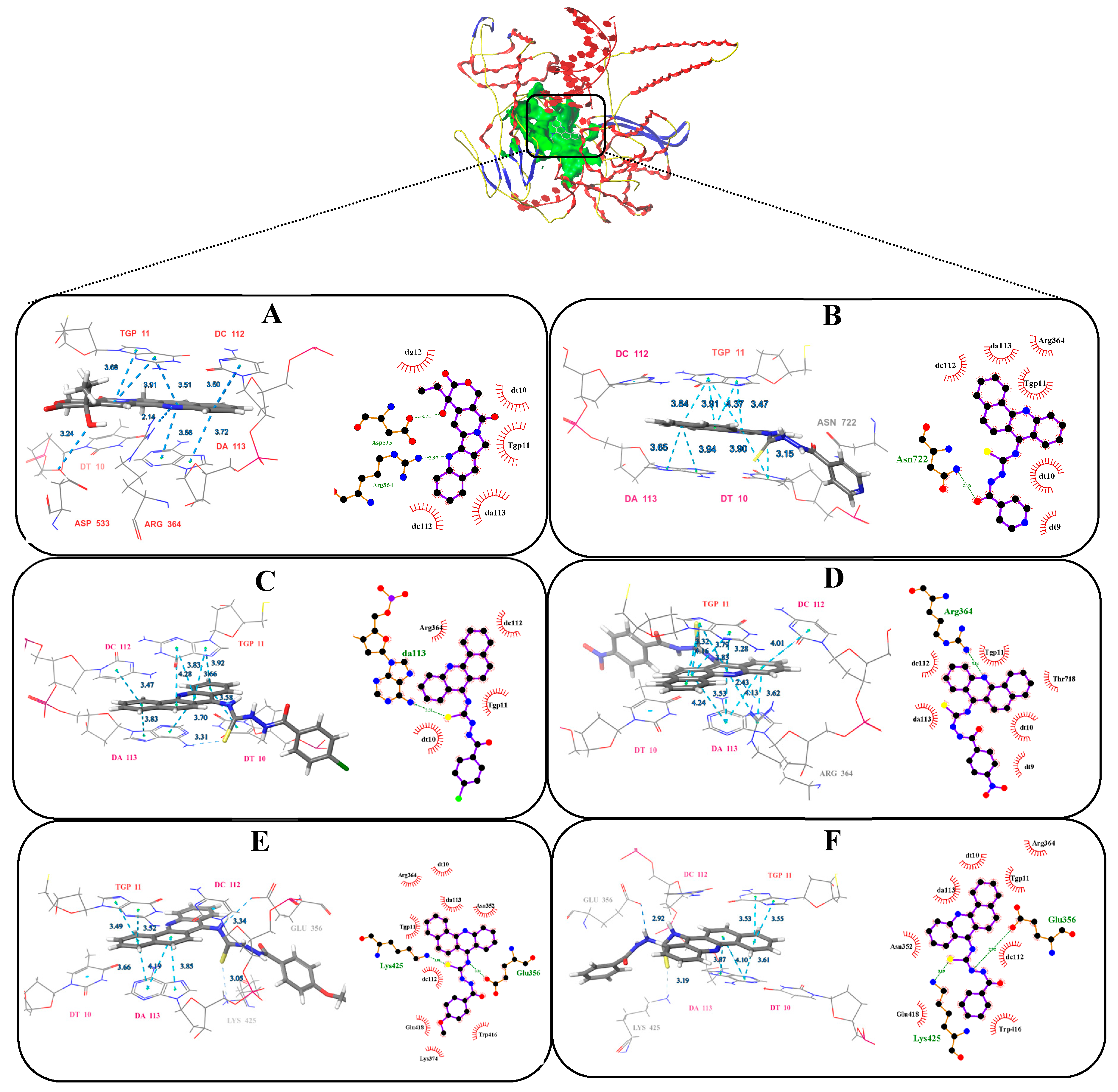 Molecules 24 02065 g004