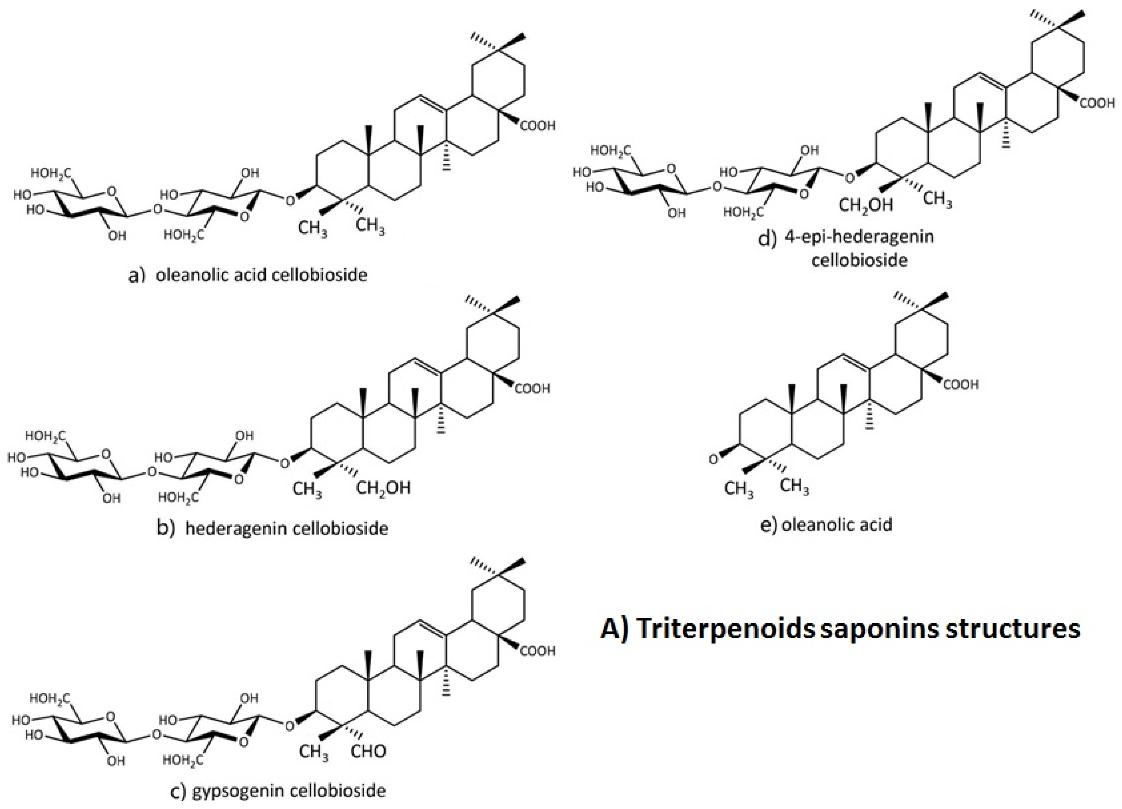 Molecules 24 02067 g001