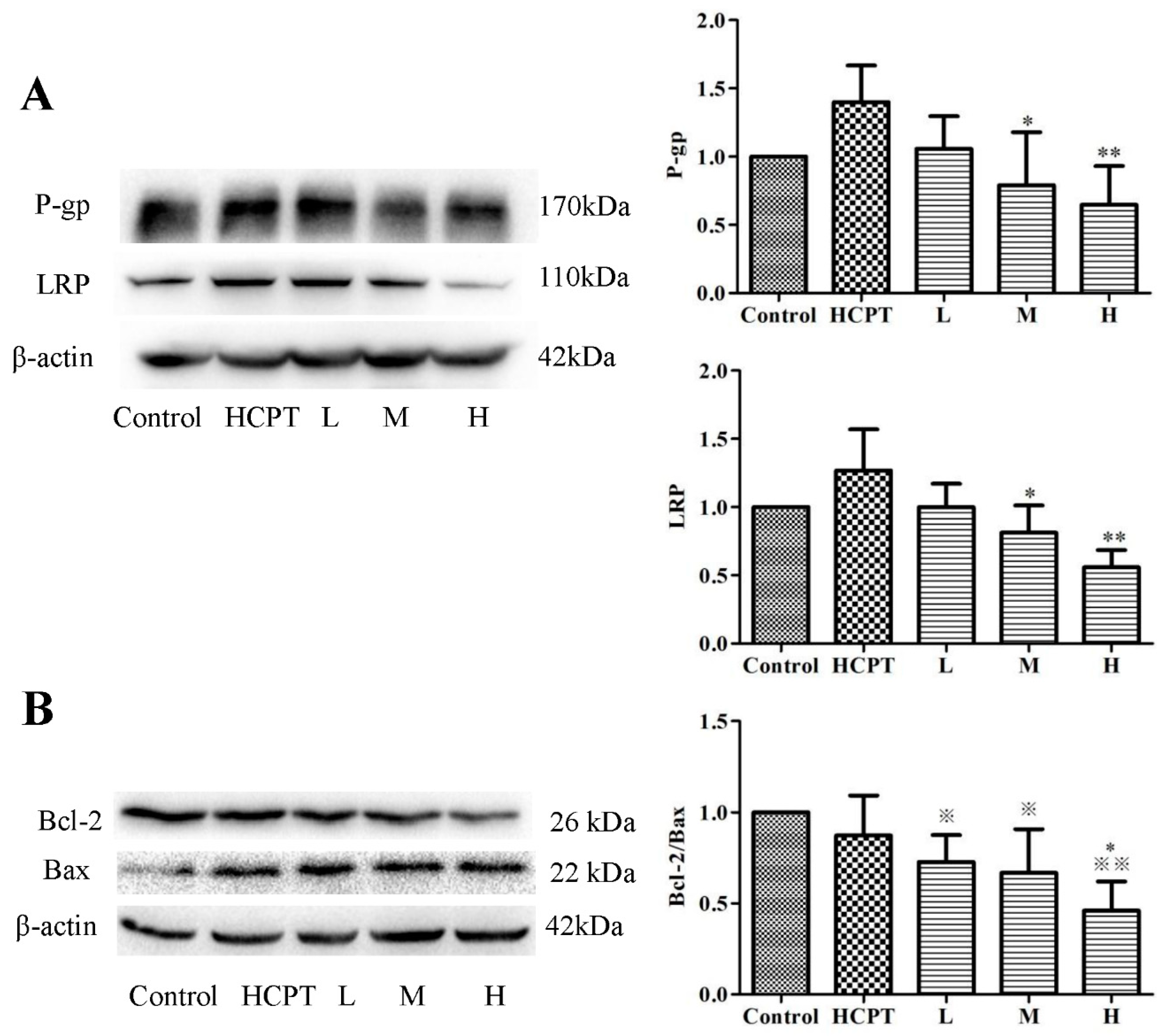 Molecules 24 02068 g004 Molecules 24 02068 g004