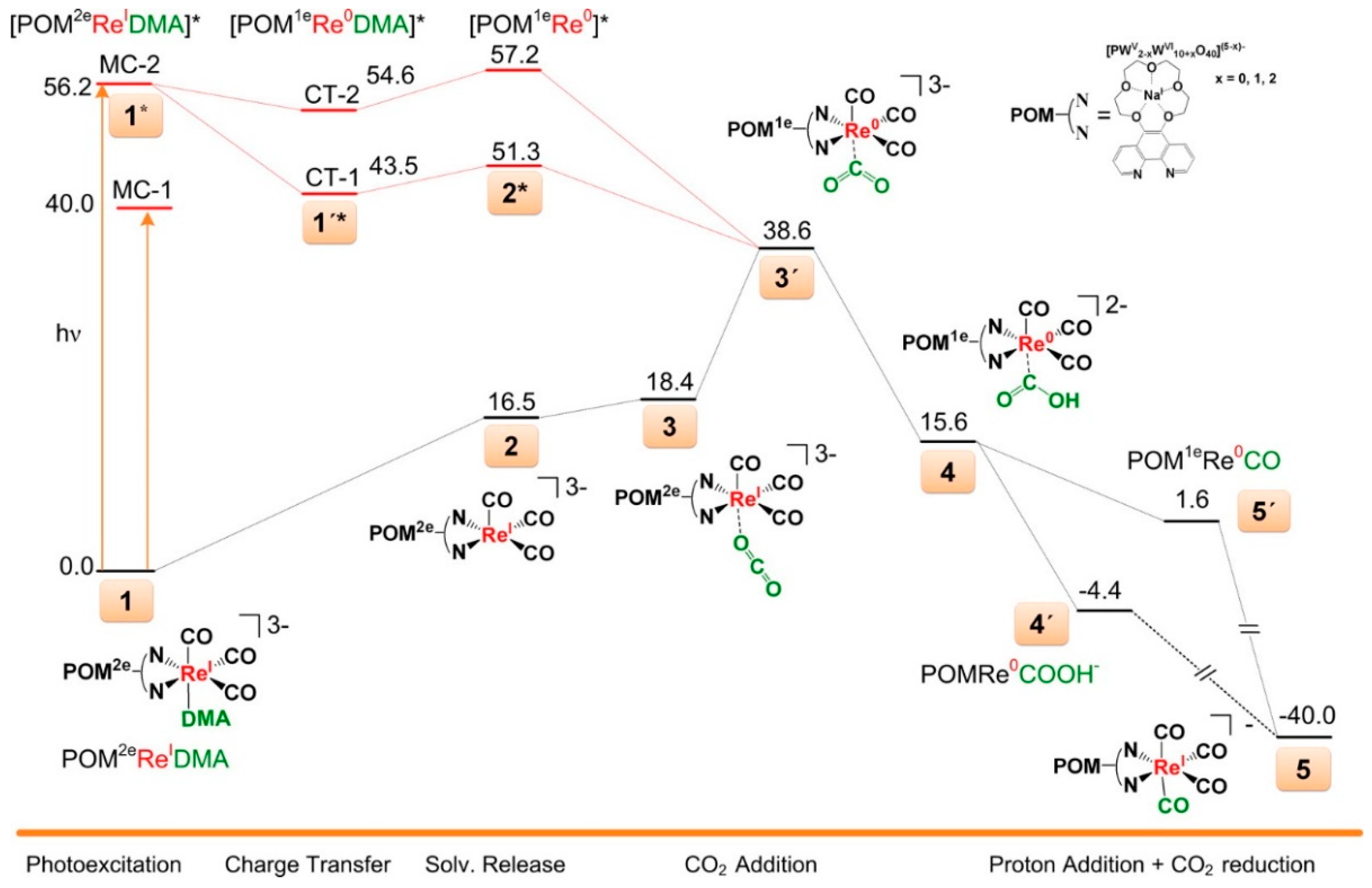 Molecules 24 02069 g005
