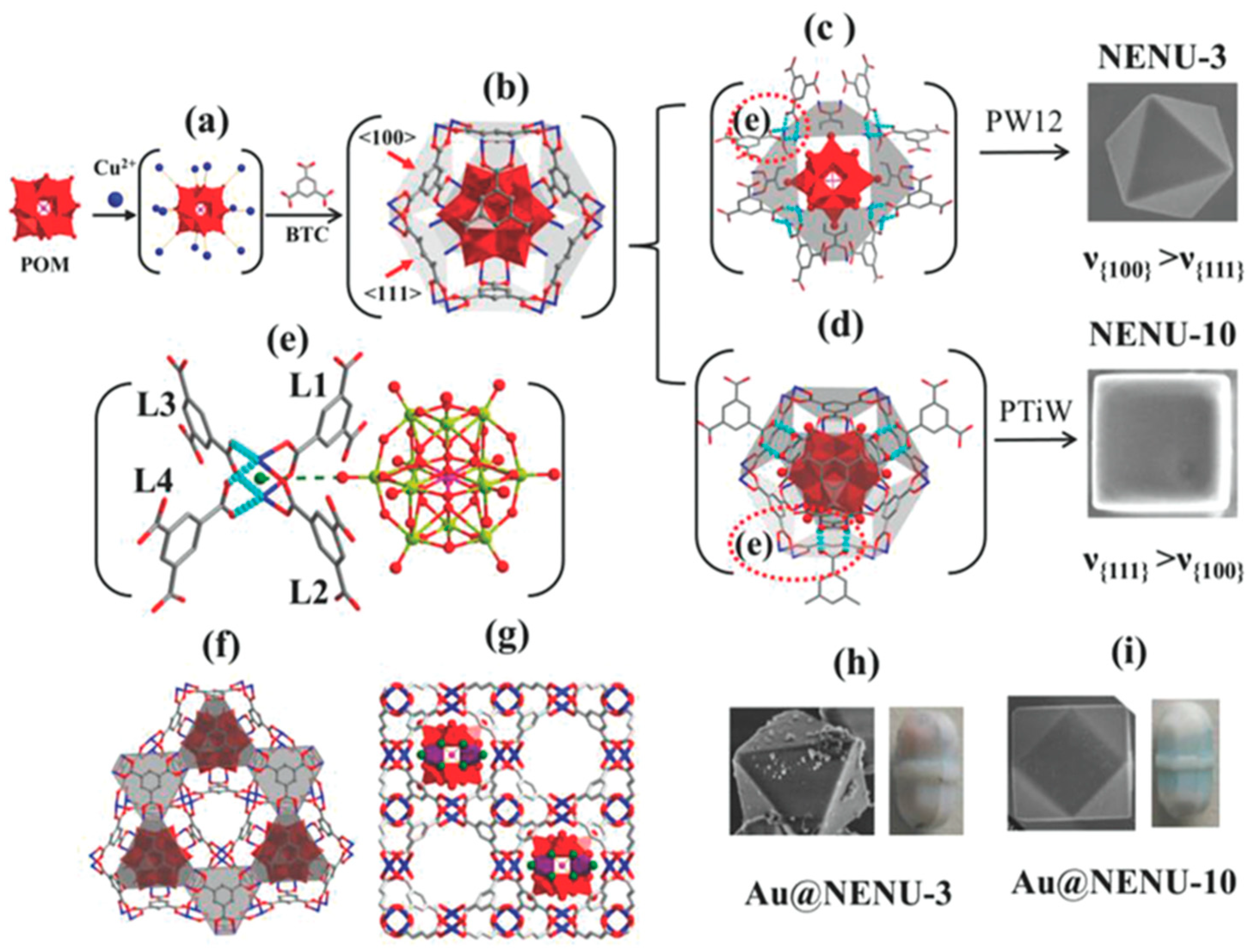Molecules 24 02069 g007