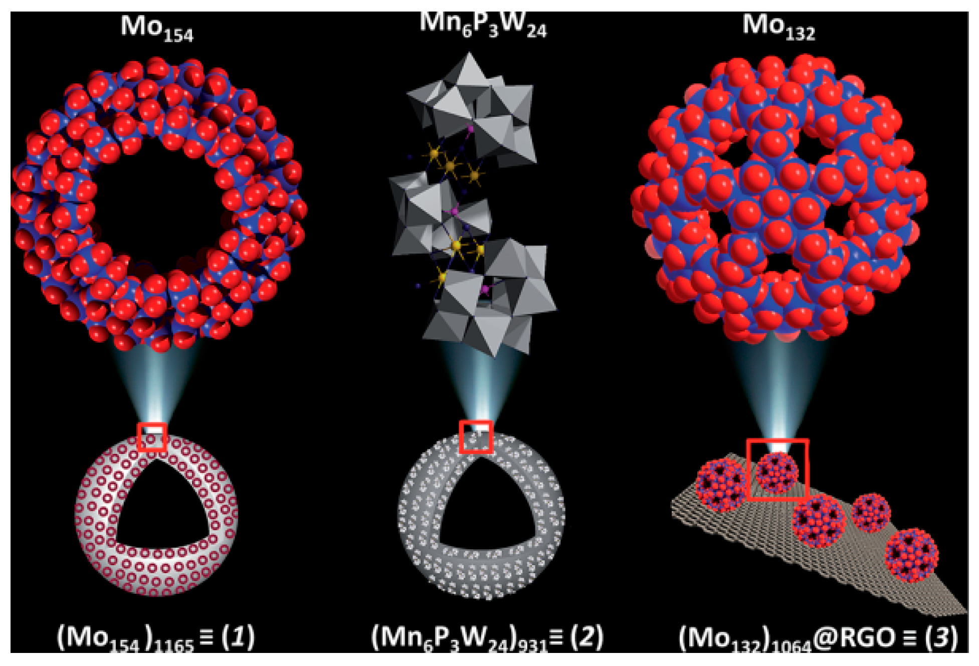 Molecules 24 02069 g008