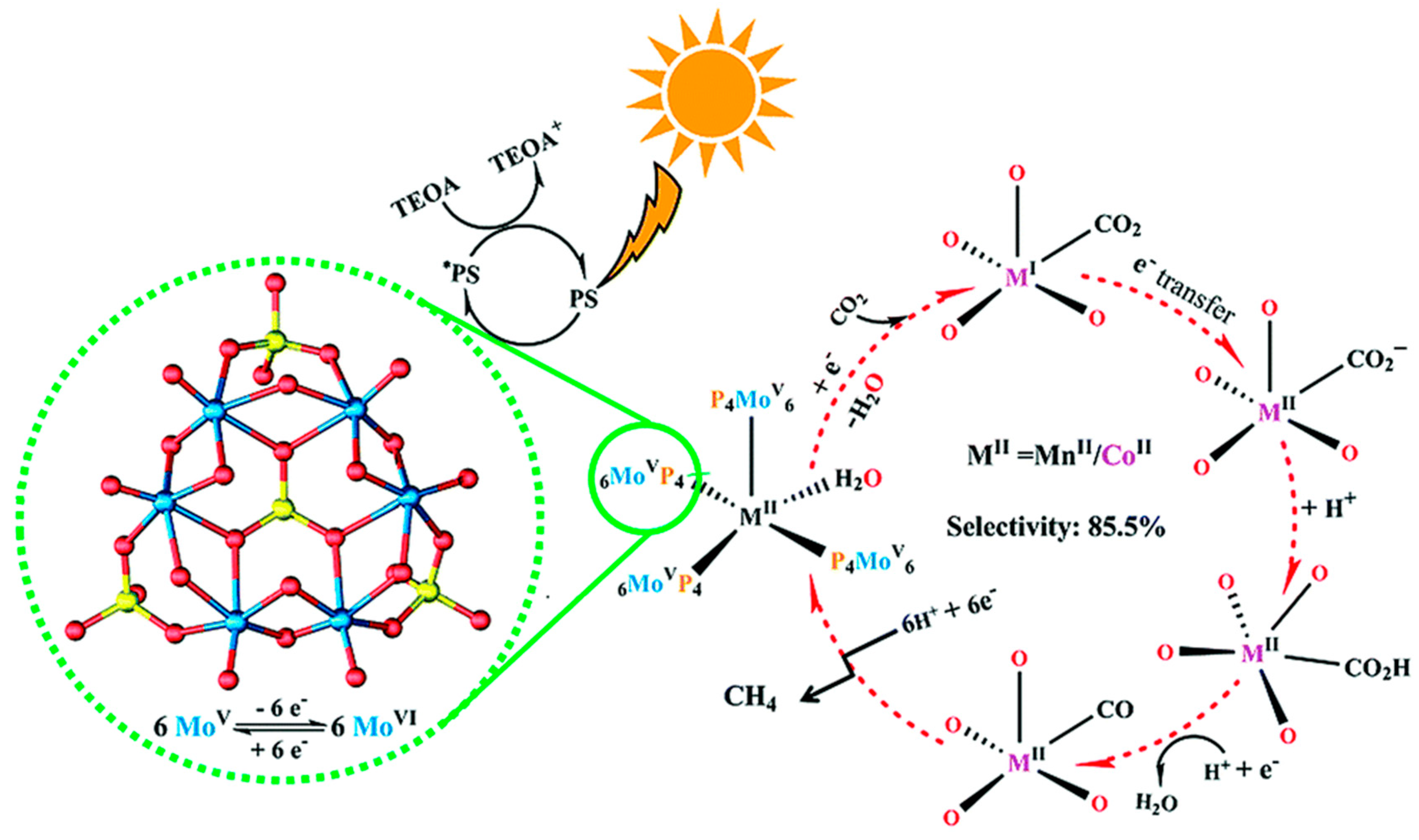 Molecules 24 02069 g010