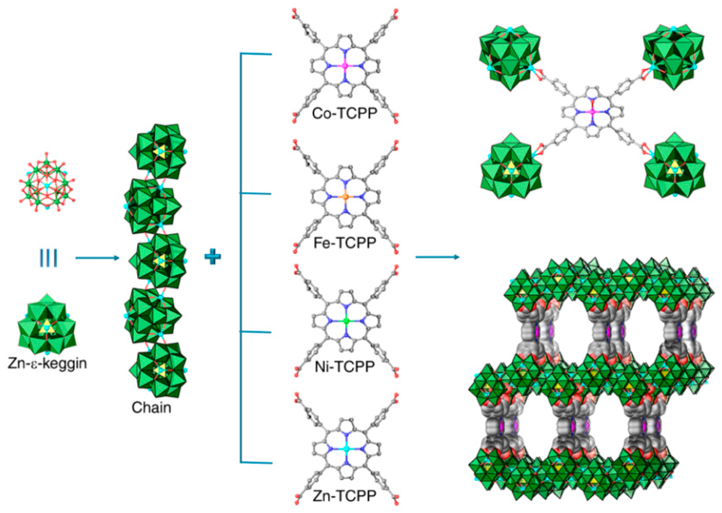 Molecules 24 02069 g013
