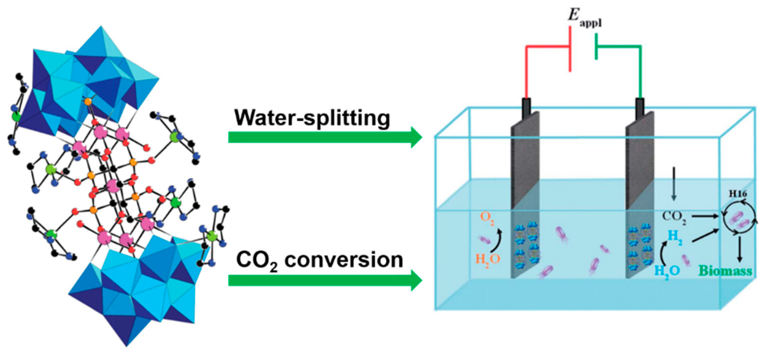 Molecules 24 02069 g015