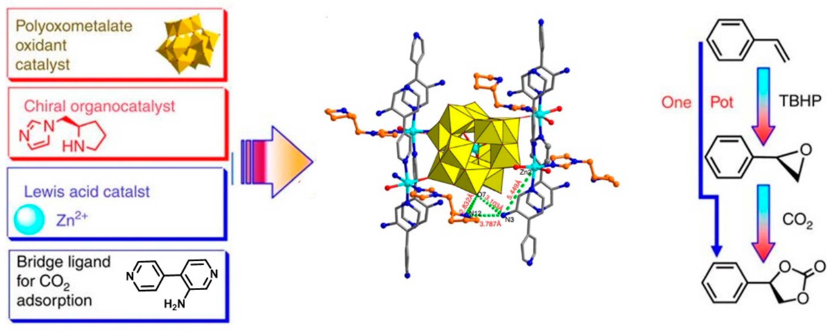 Molecules 24 02069 g016