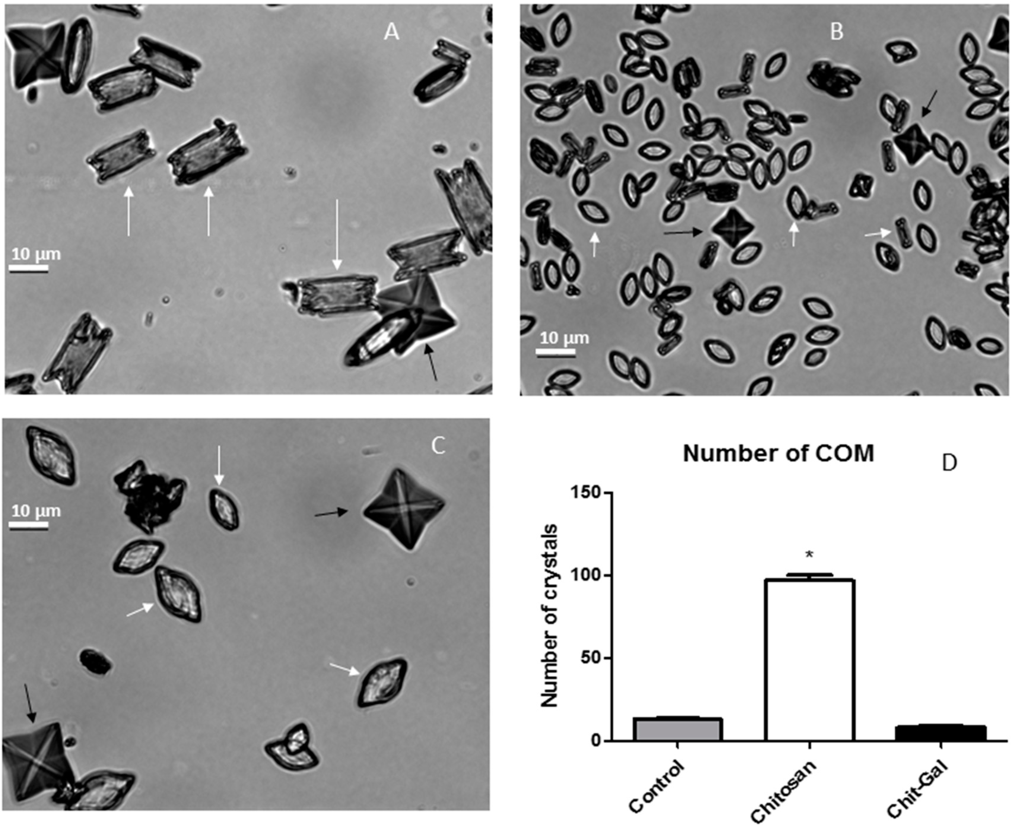 Molecules 24 02074 g004