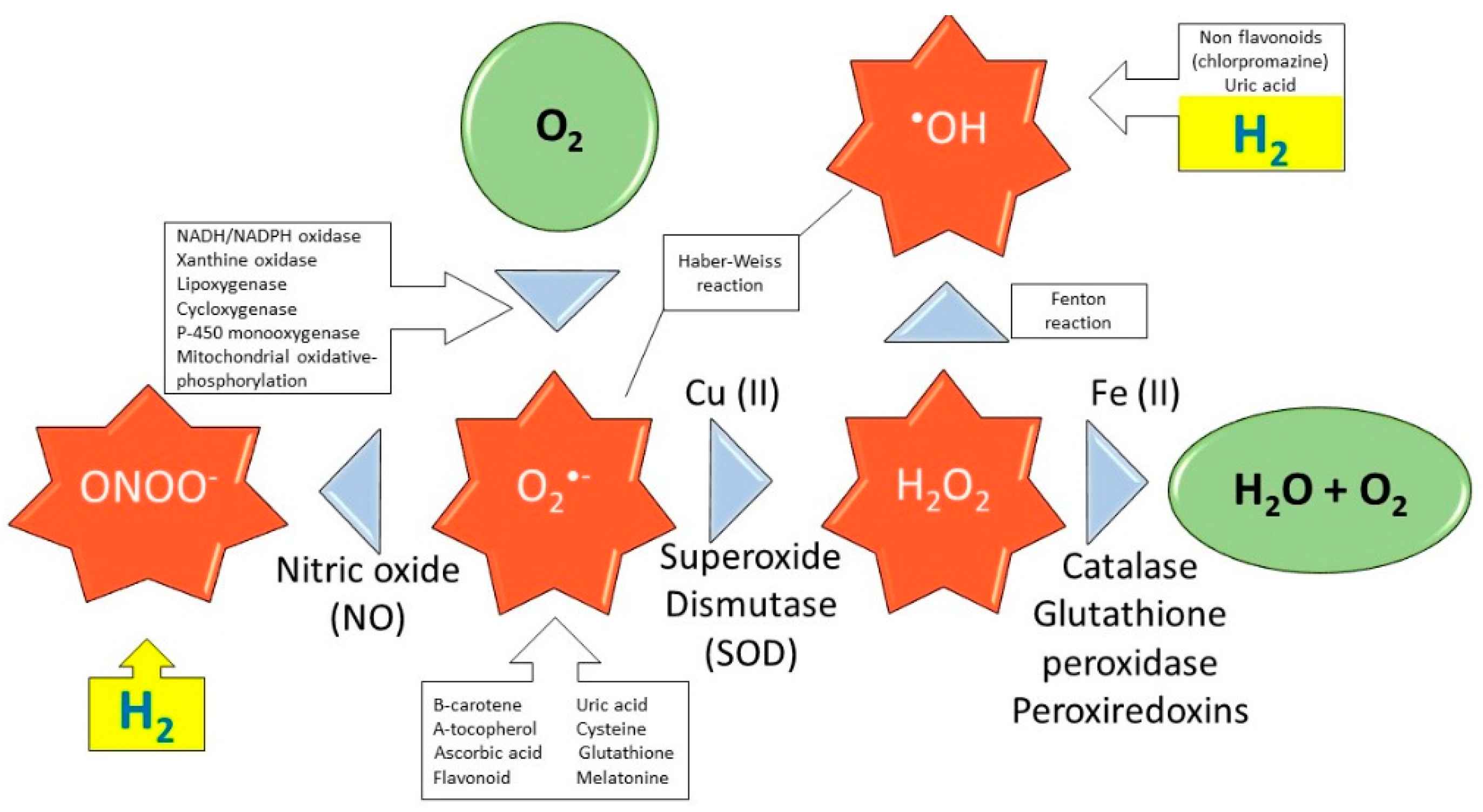 Molecules 24 02076 g001