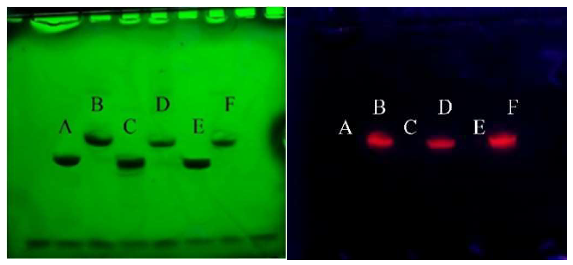 Molecules 24 02083 g002
