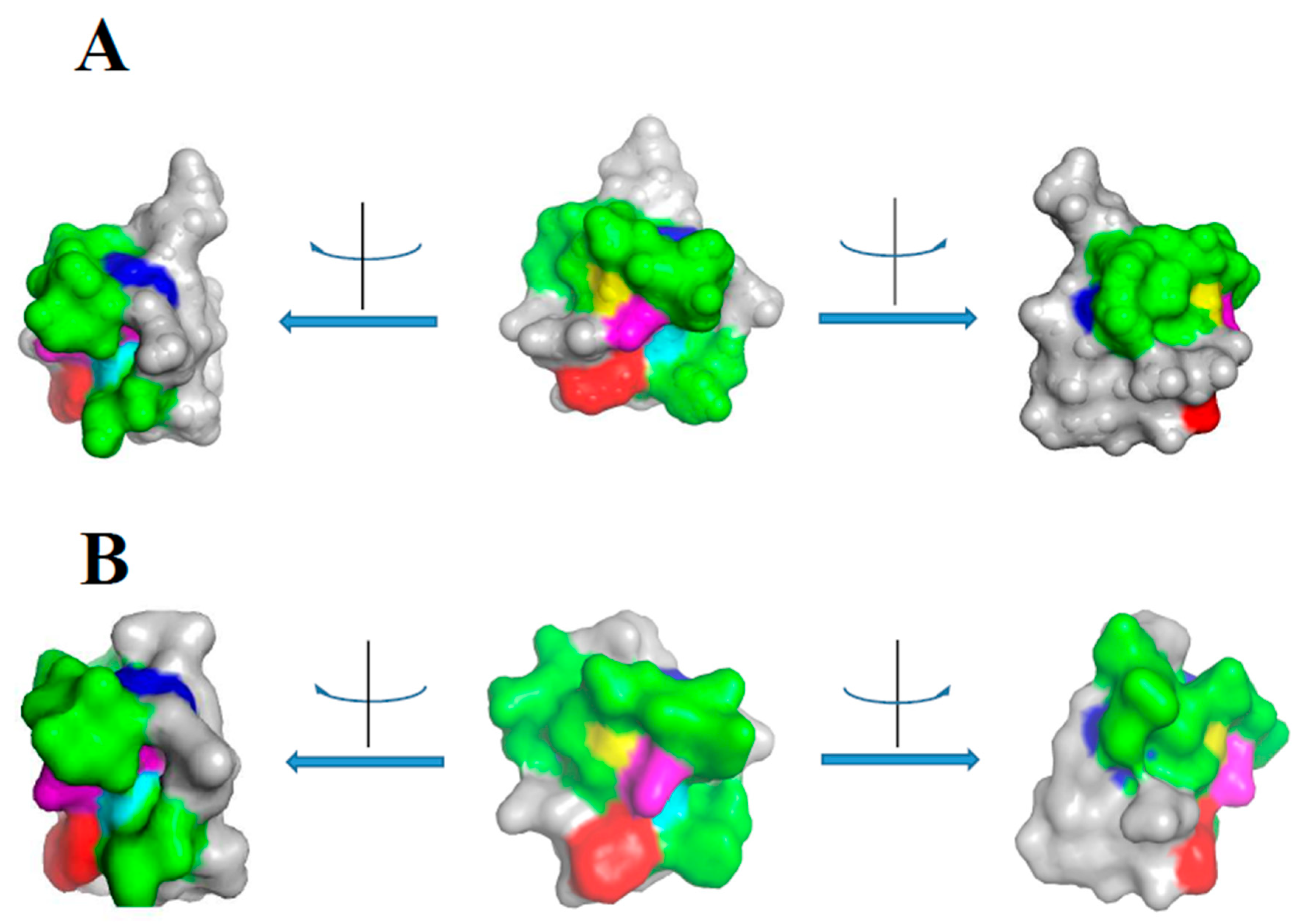 Molecules 24 02087 g001 Molecules 24 02087 g001