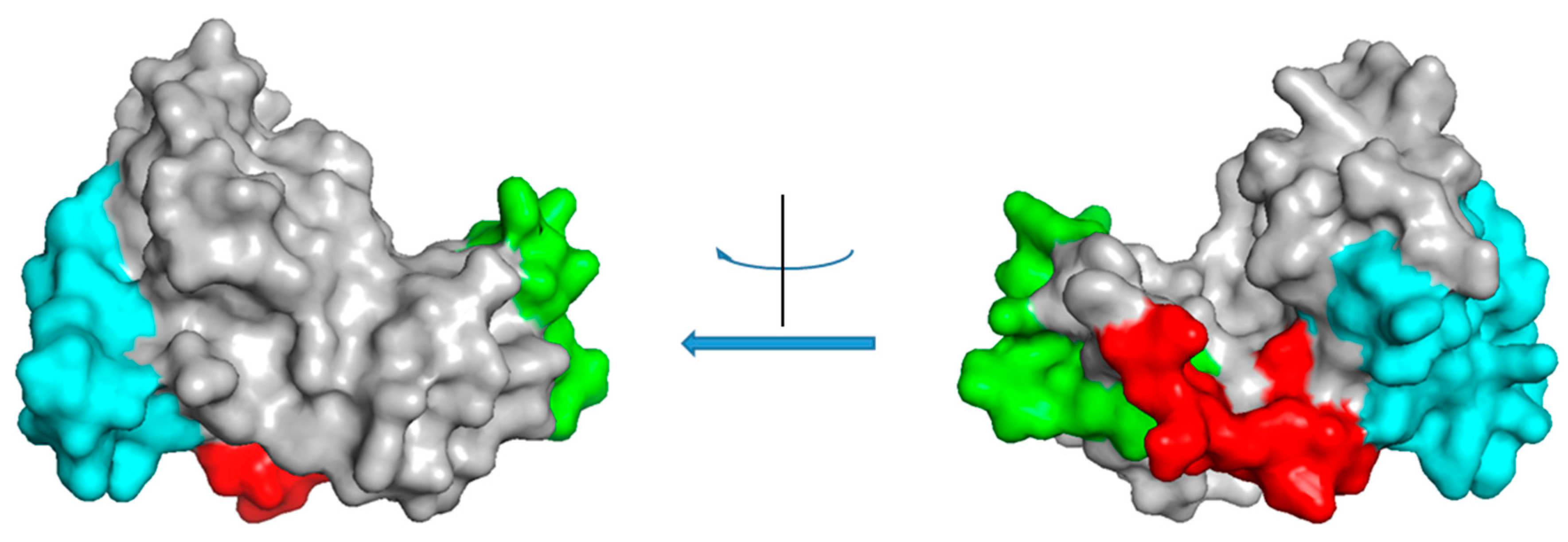 Molecules 24 02087 g002 Molecules 24 02087 g002