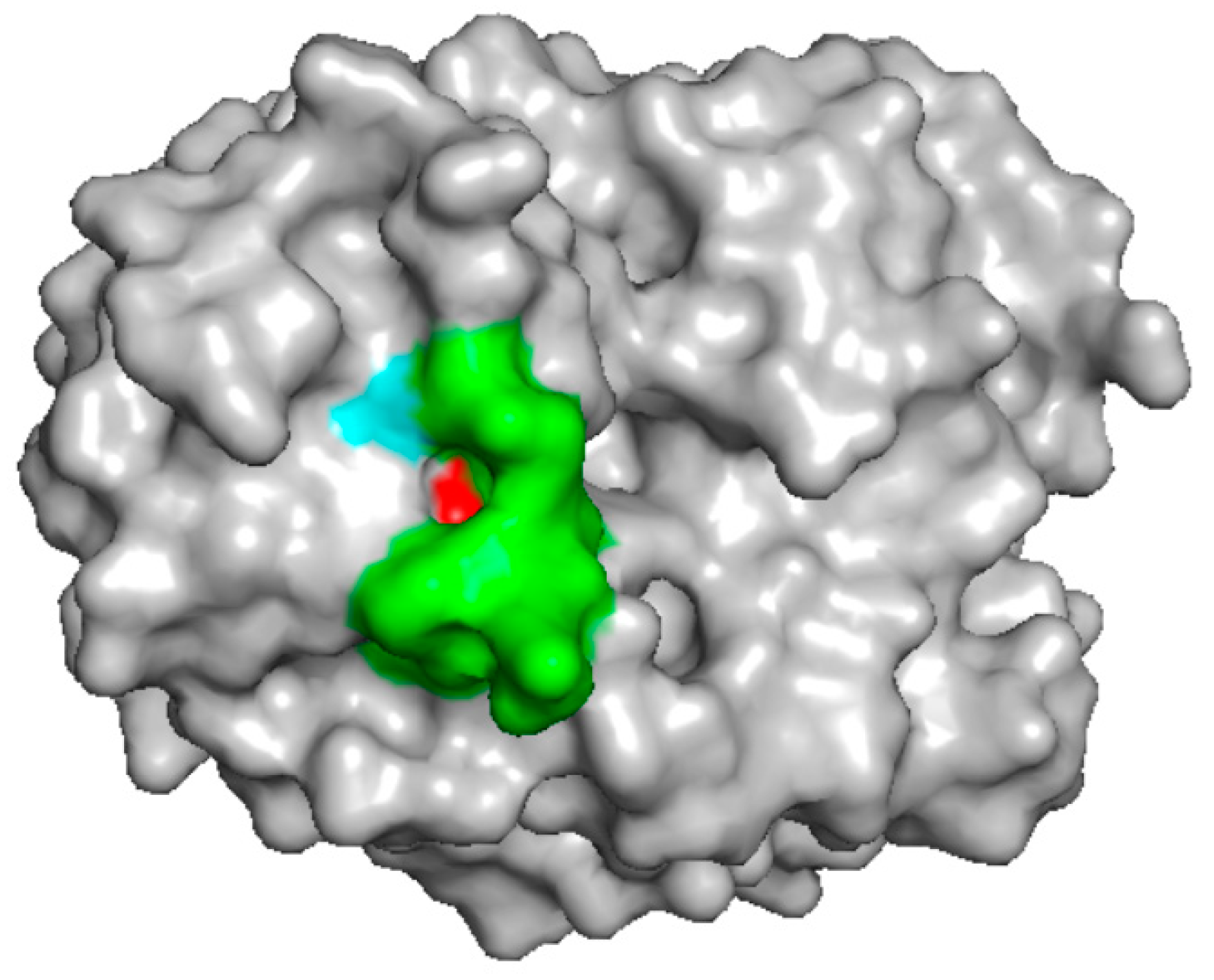 Molecules 24 02087 g003 Molecules 24 02087 g003