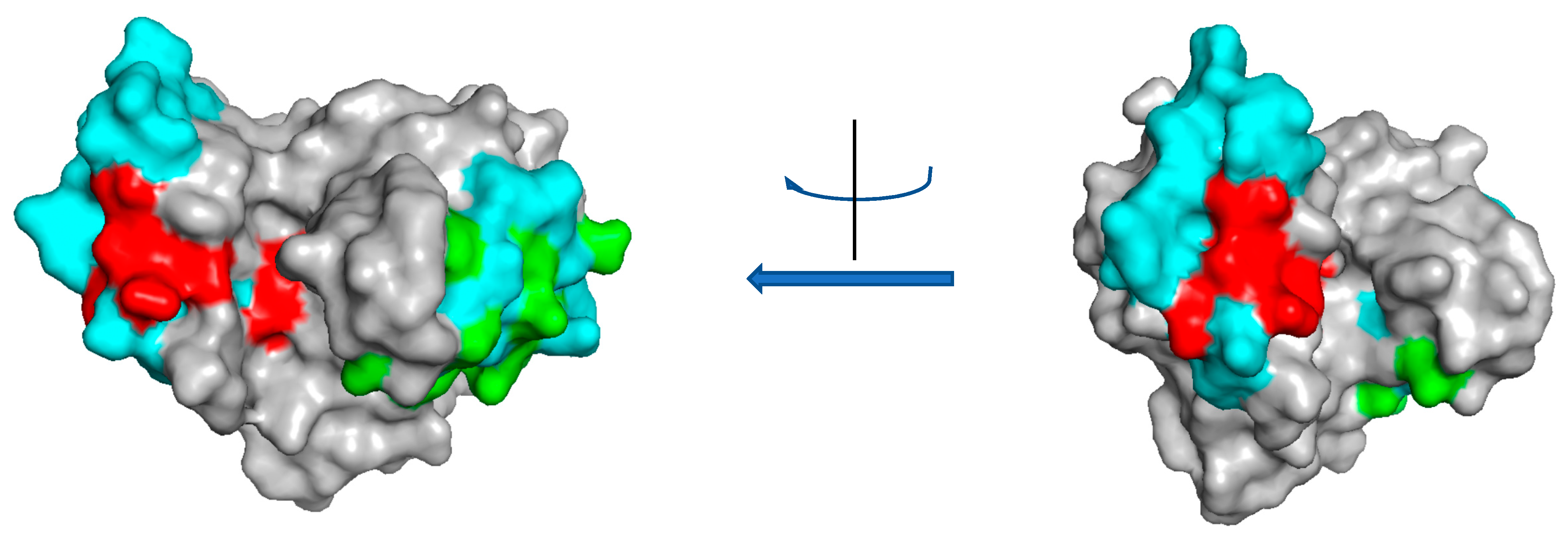 Molecules 24 02087 g004 Molecules 24 02087 g004