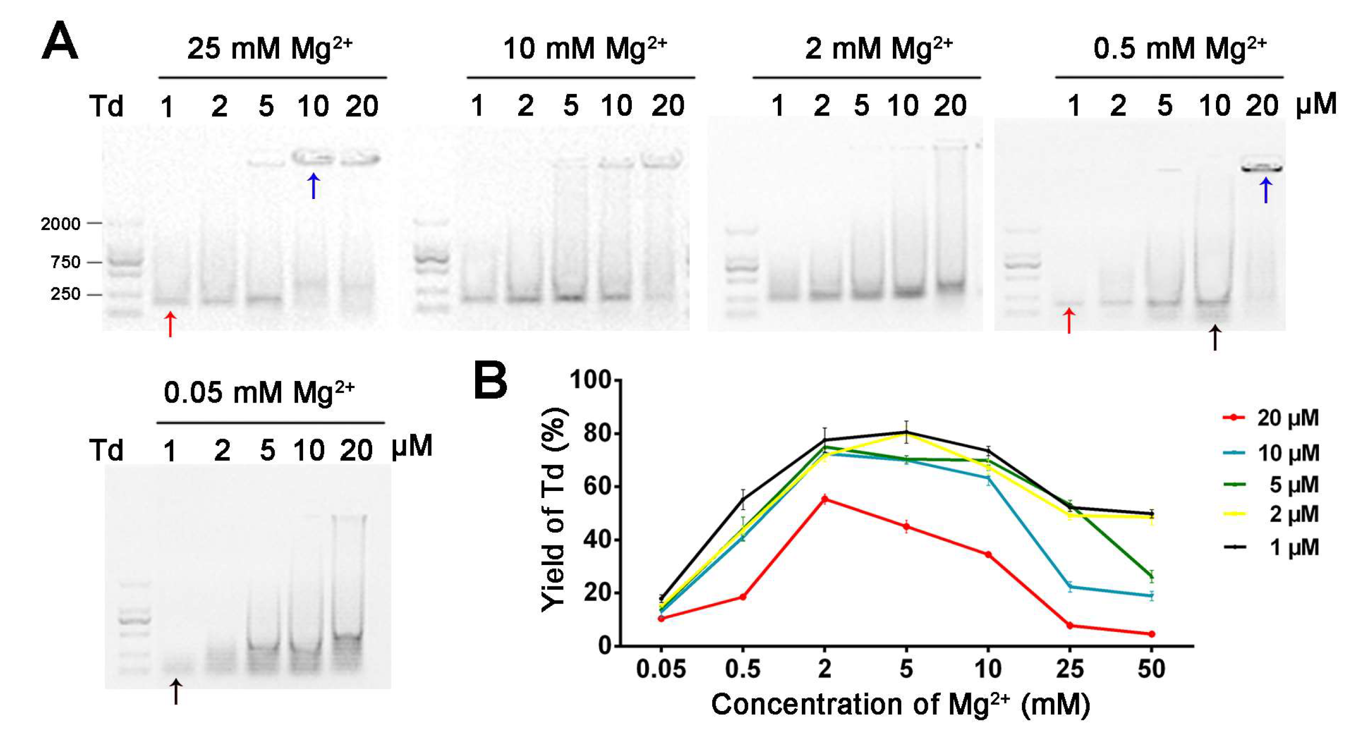 Molecules 24 02091 g002