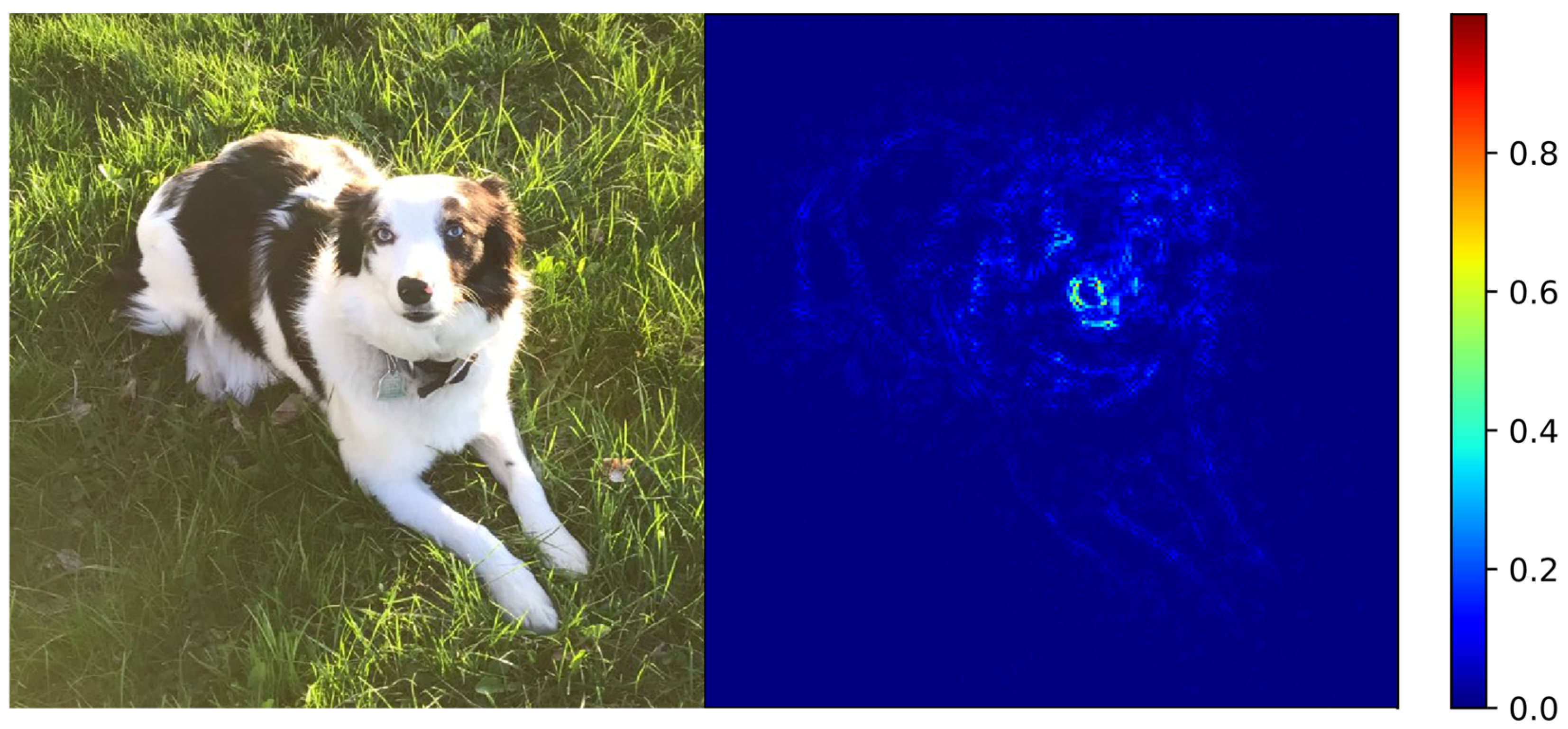 Molecules 24 02097 g005