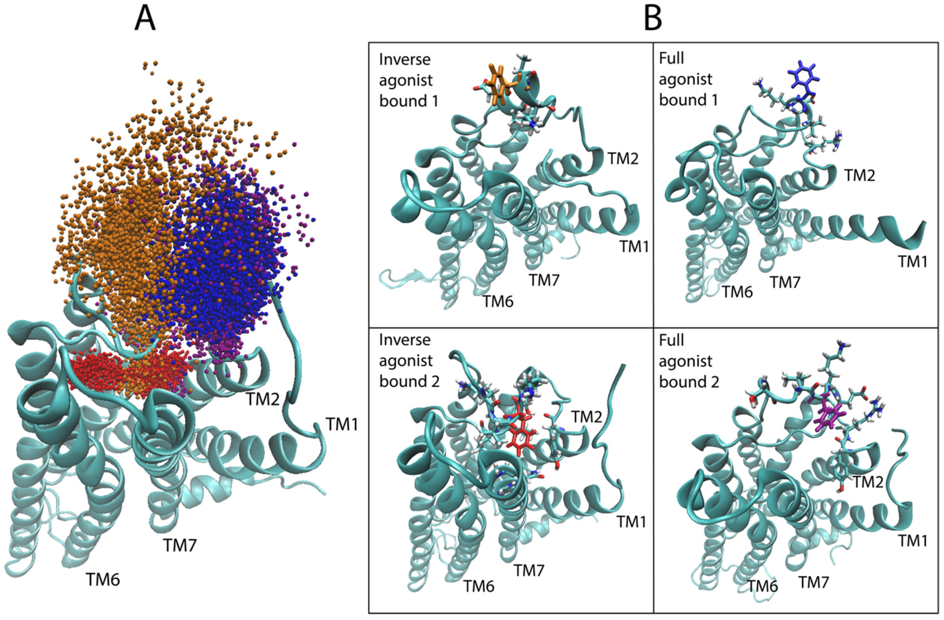Molecules 24 02097 g008