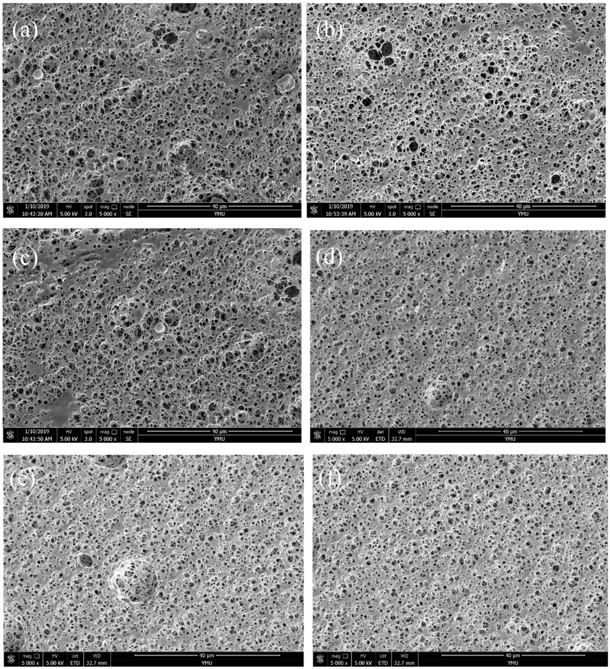 Molecules 24 02104 g006