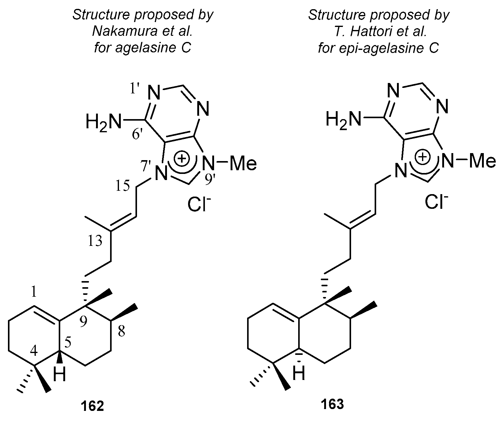 Molecules 24 02120 g009
