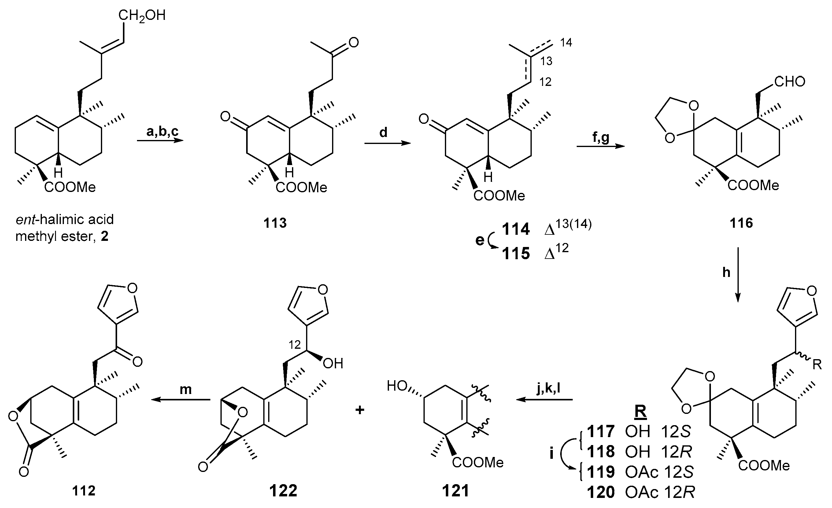Molecules 24 02120 sch003