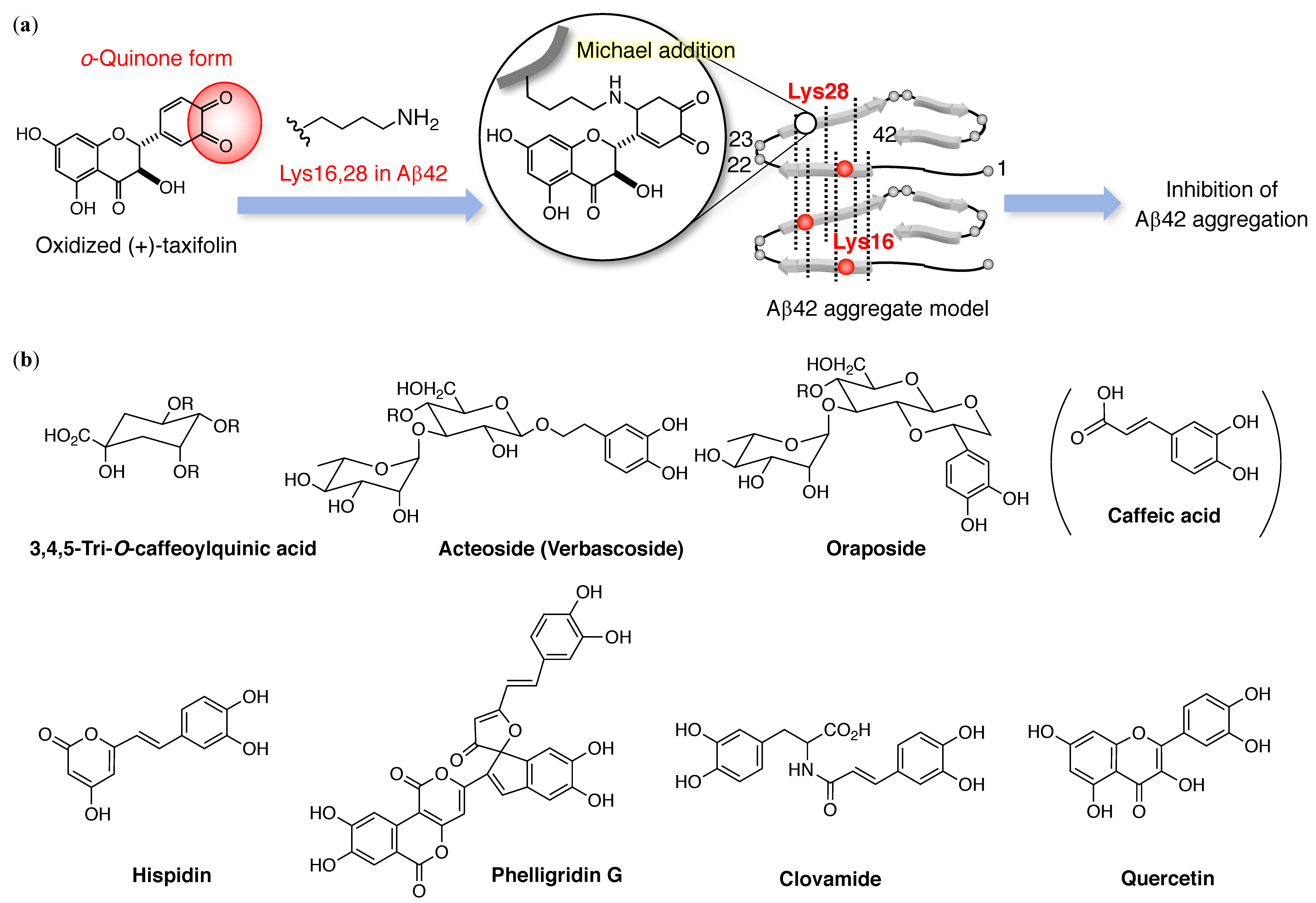 Molecules 24 02125 g002 Molecules 24 02125 g002