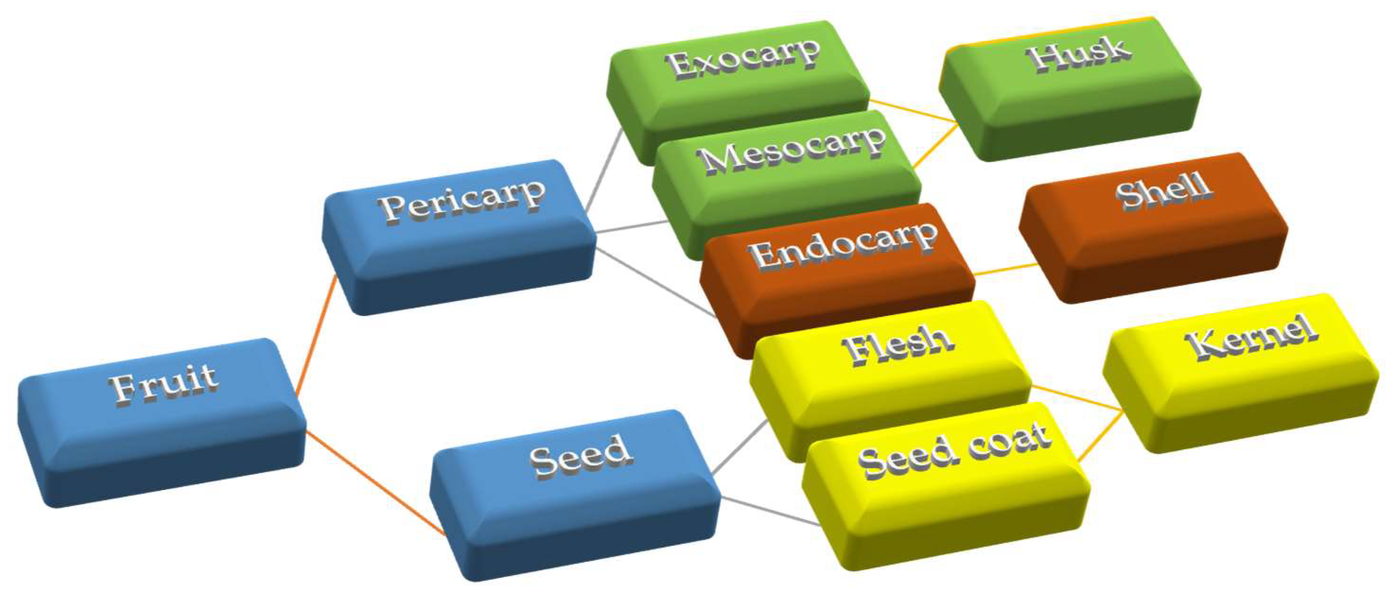 Molecules 24 02133 g001 Molecules 24 02133 g001