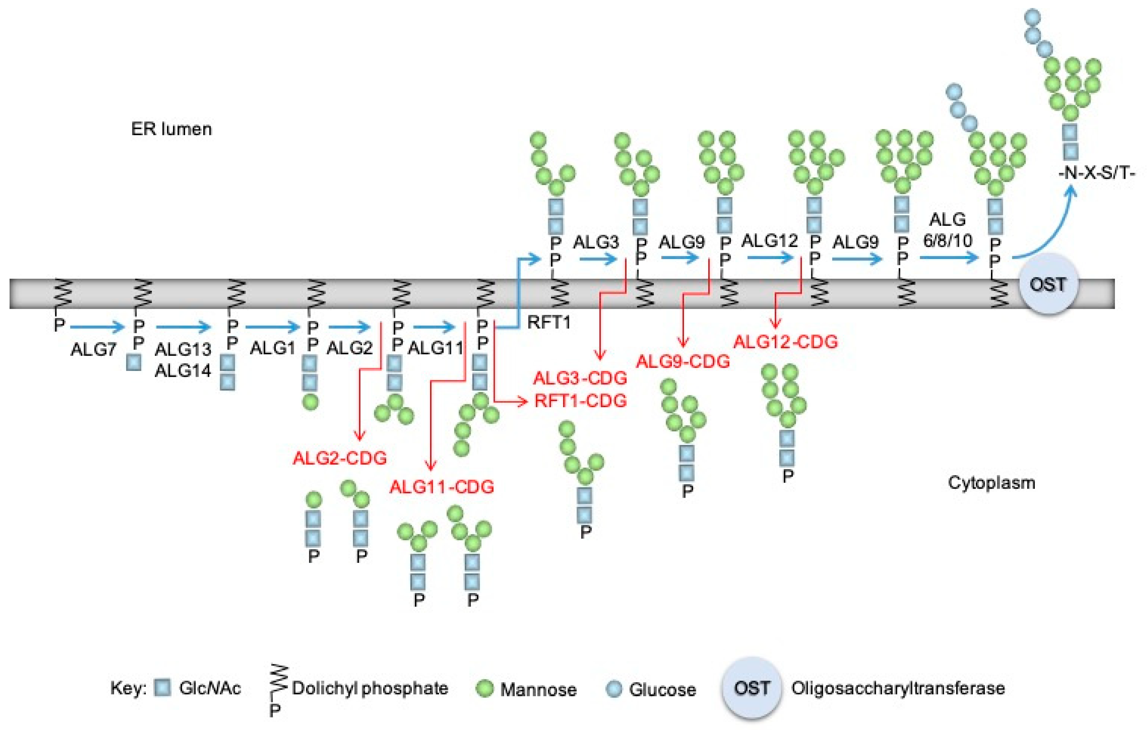 Molecules 24 02135 g001