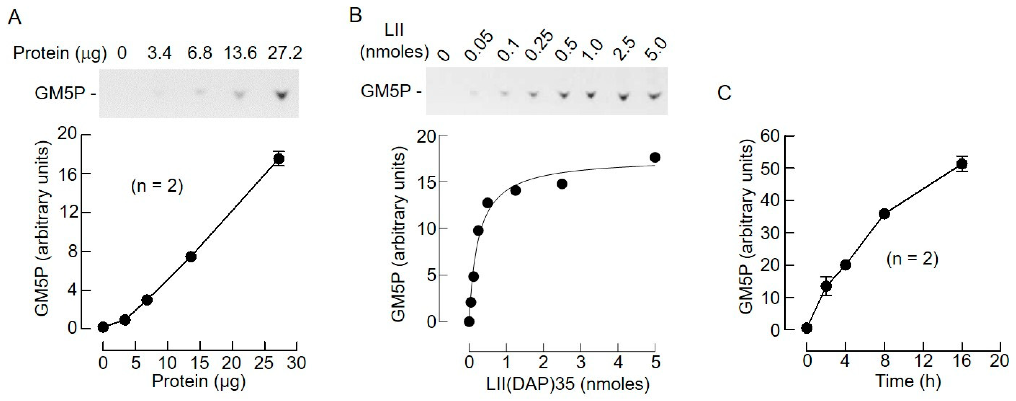 Molecules 24 02135 g008