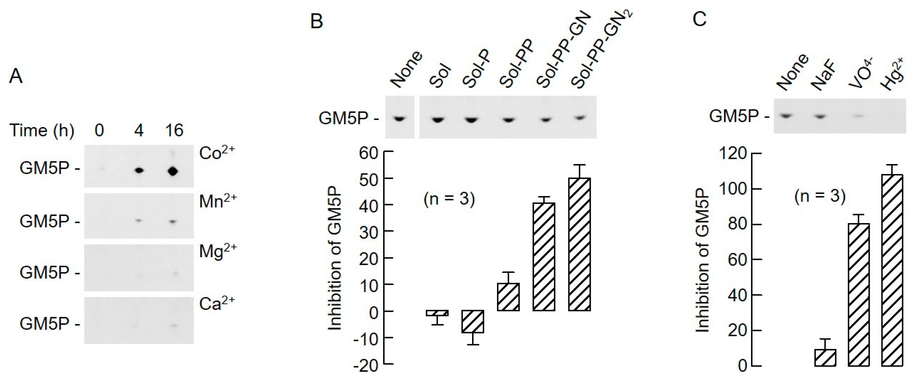 Molecules 24 02135 g009