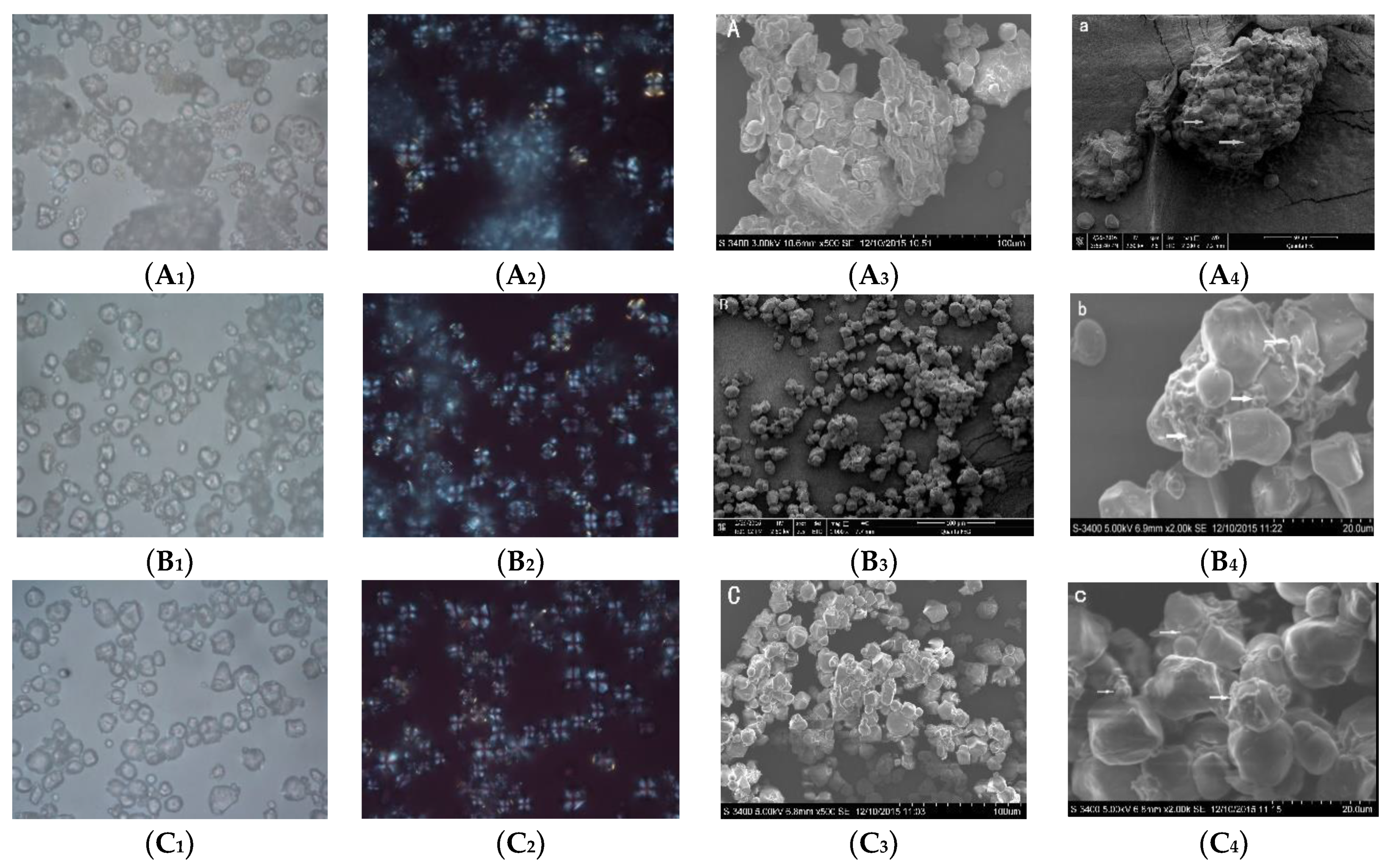 Molecules 24 02137 g001