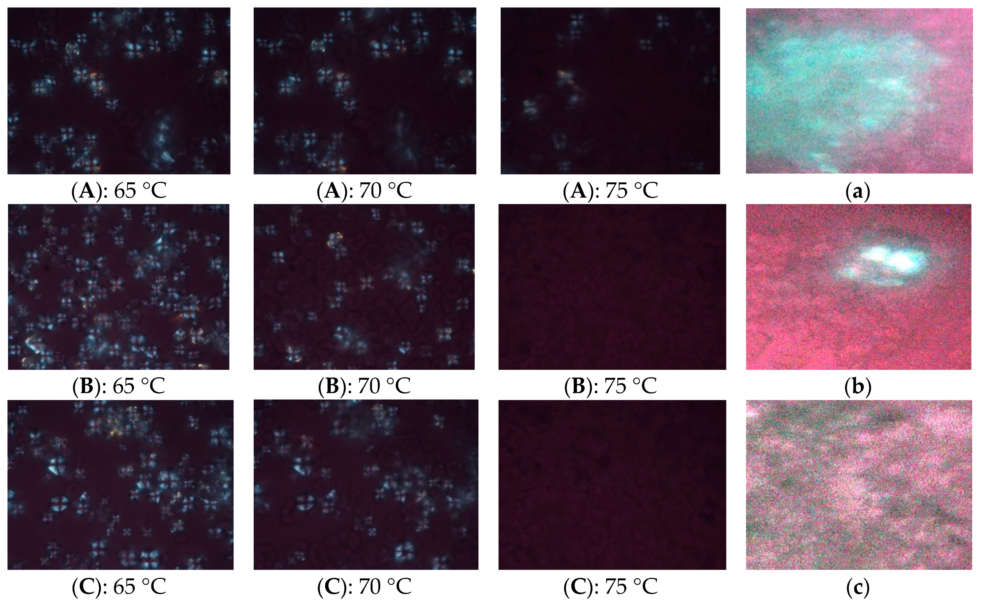 Molecules 24 02137 g002