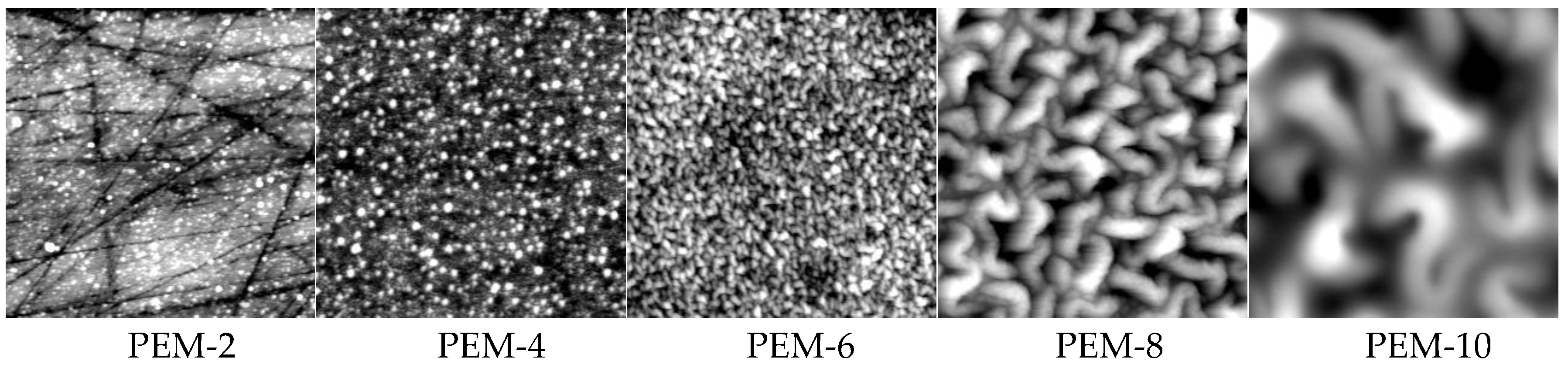 Molecules 24 02141 g004