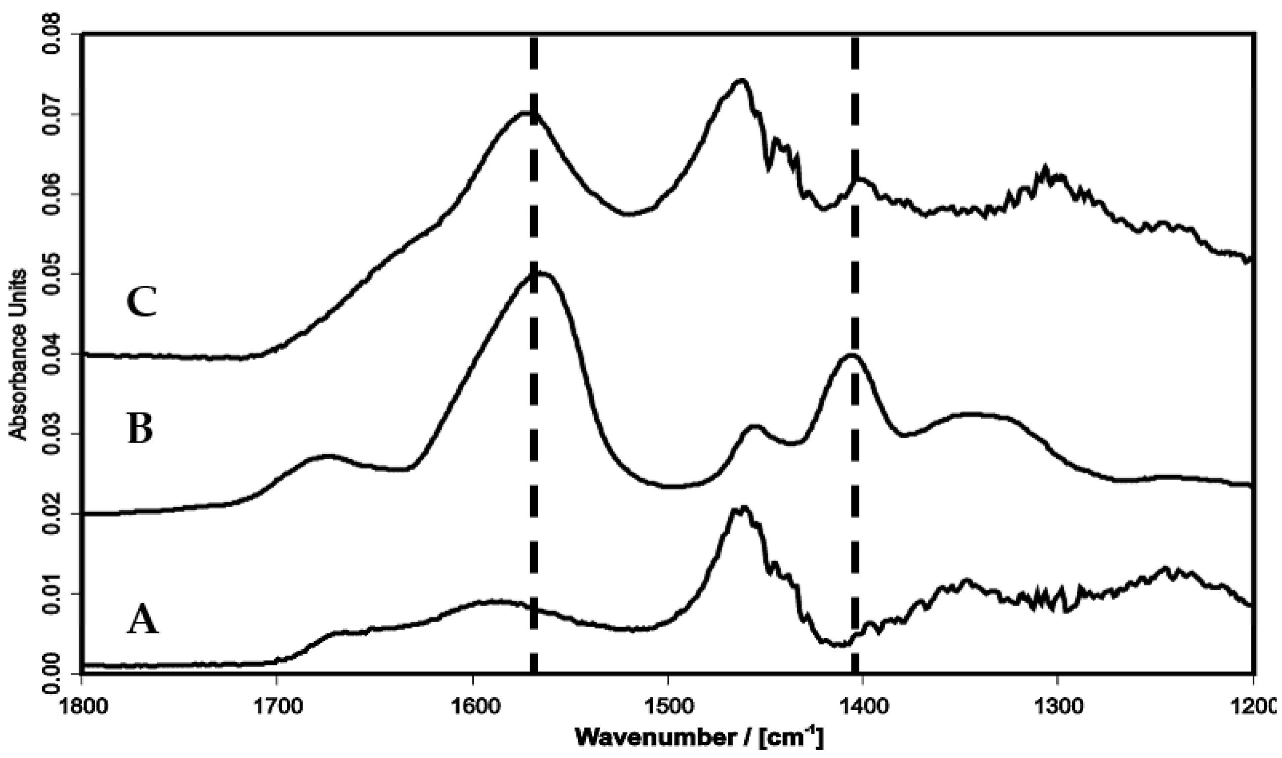 Molecules 24 02141 g009