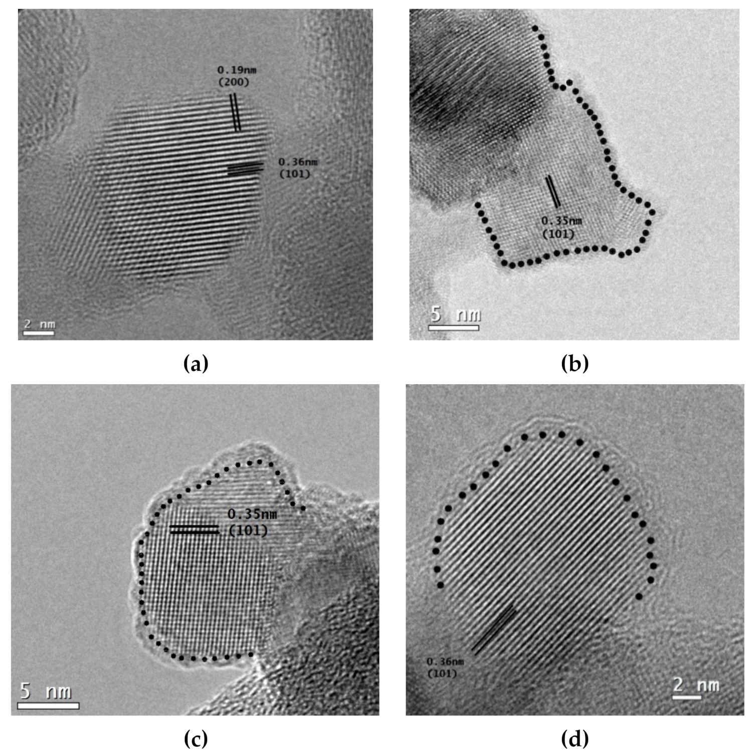 Molecules 24 02147 g004