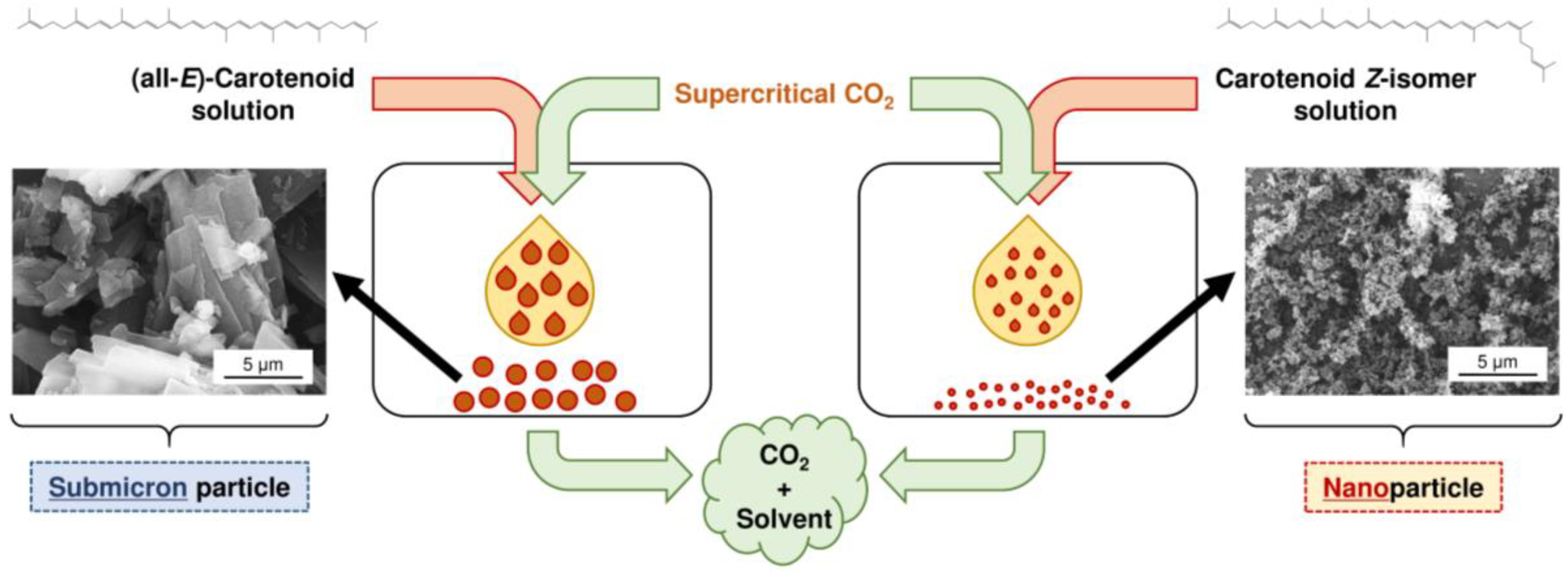 Molecules 24 02149 g003