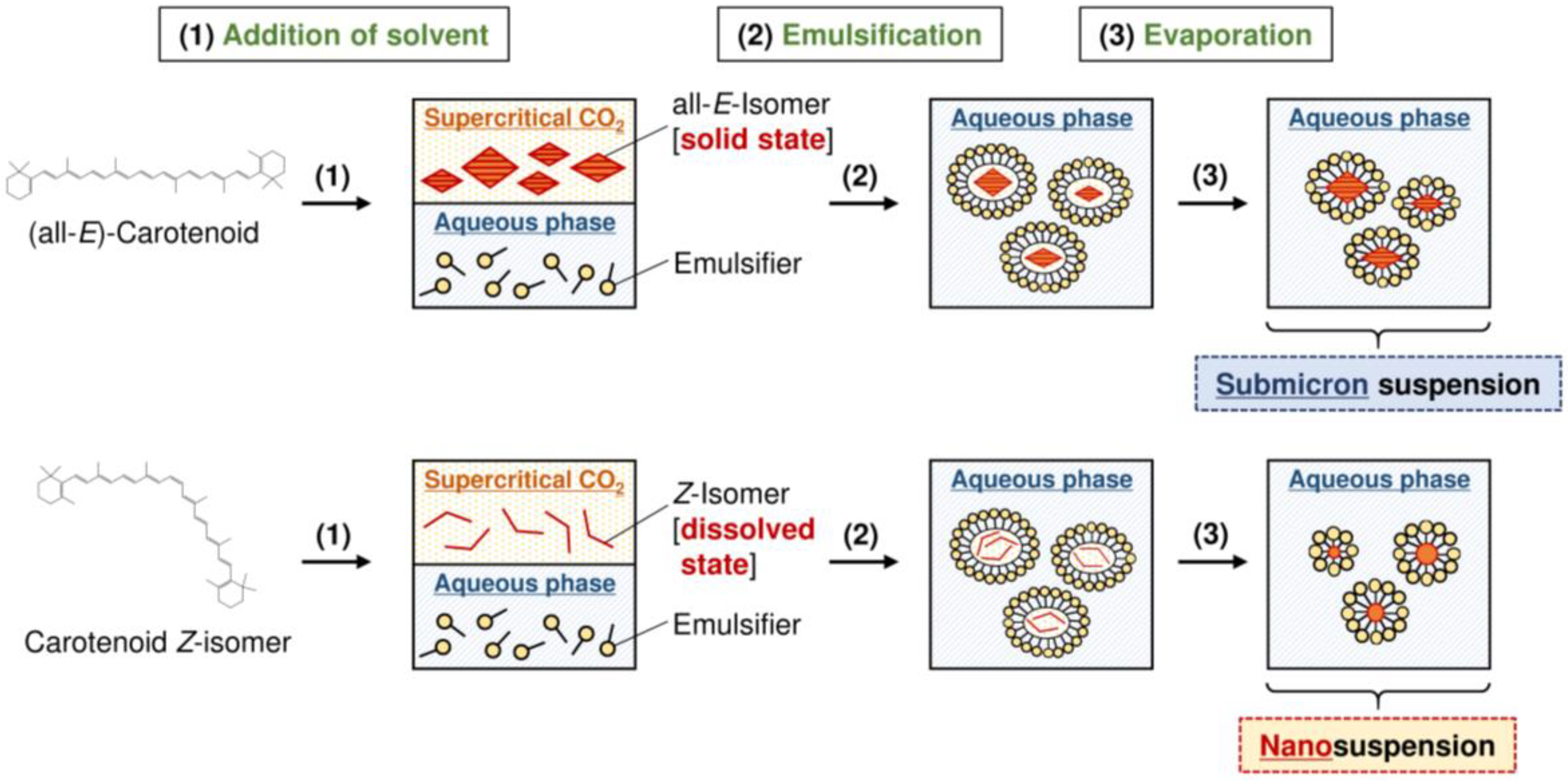 Molecules 24 02149 g004